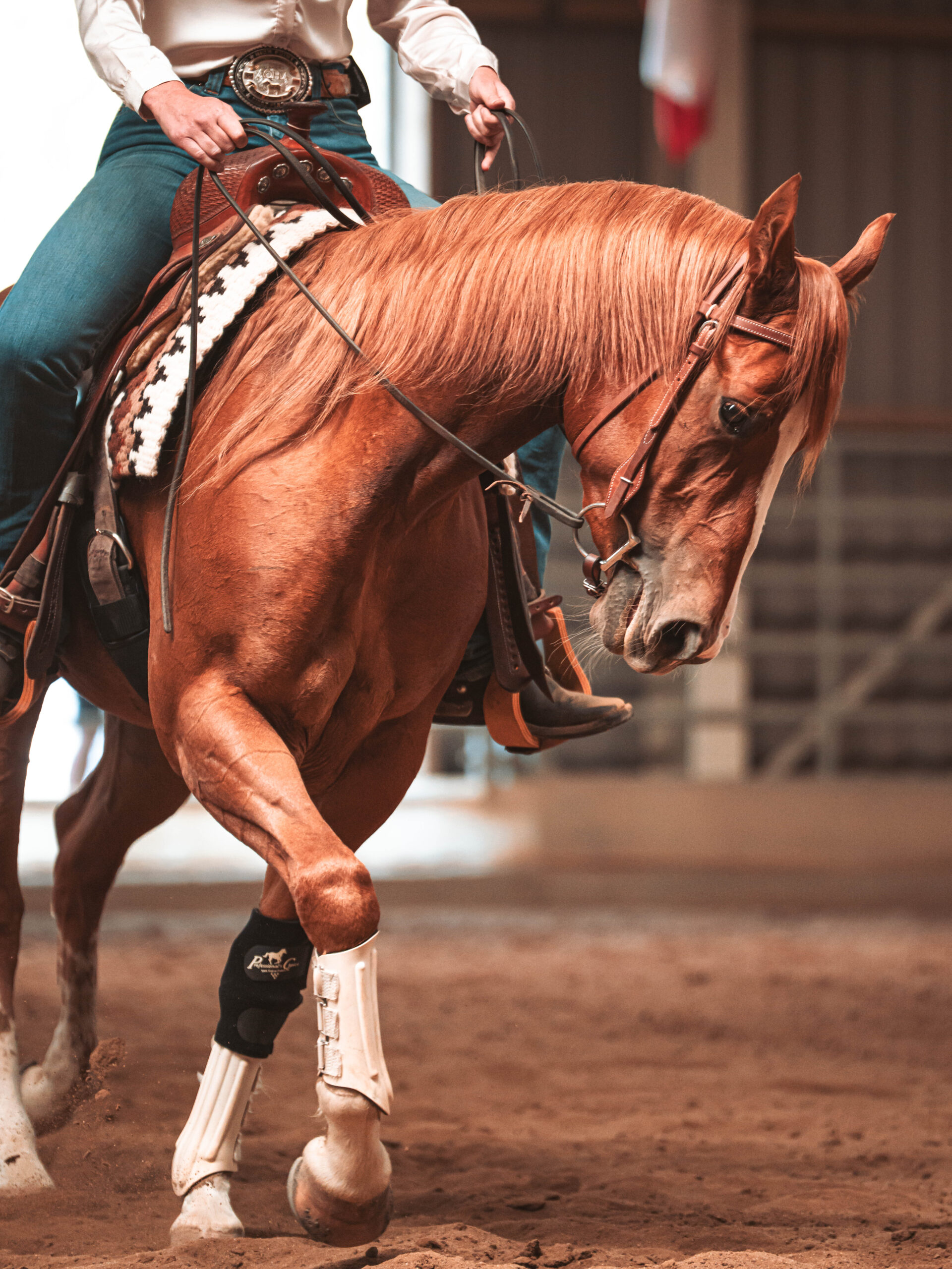 20250614_NRHA_Ost_Turnier_Reitanlage_Zehren__002