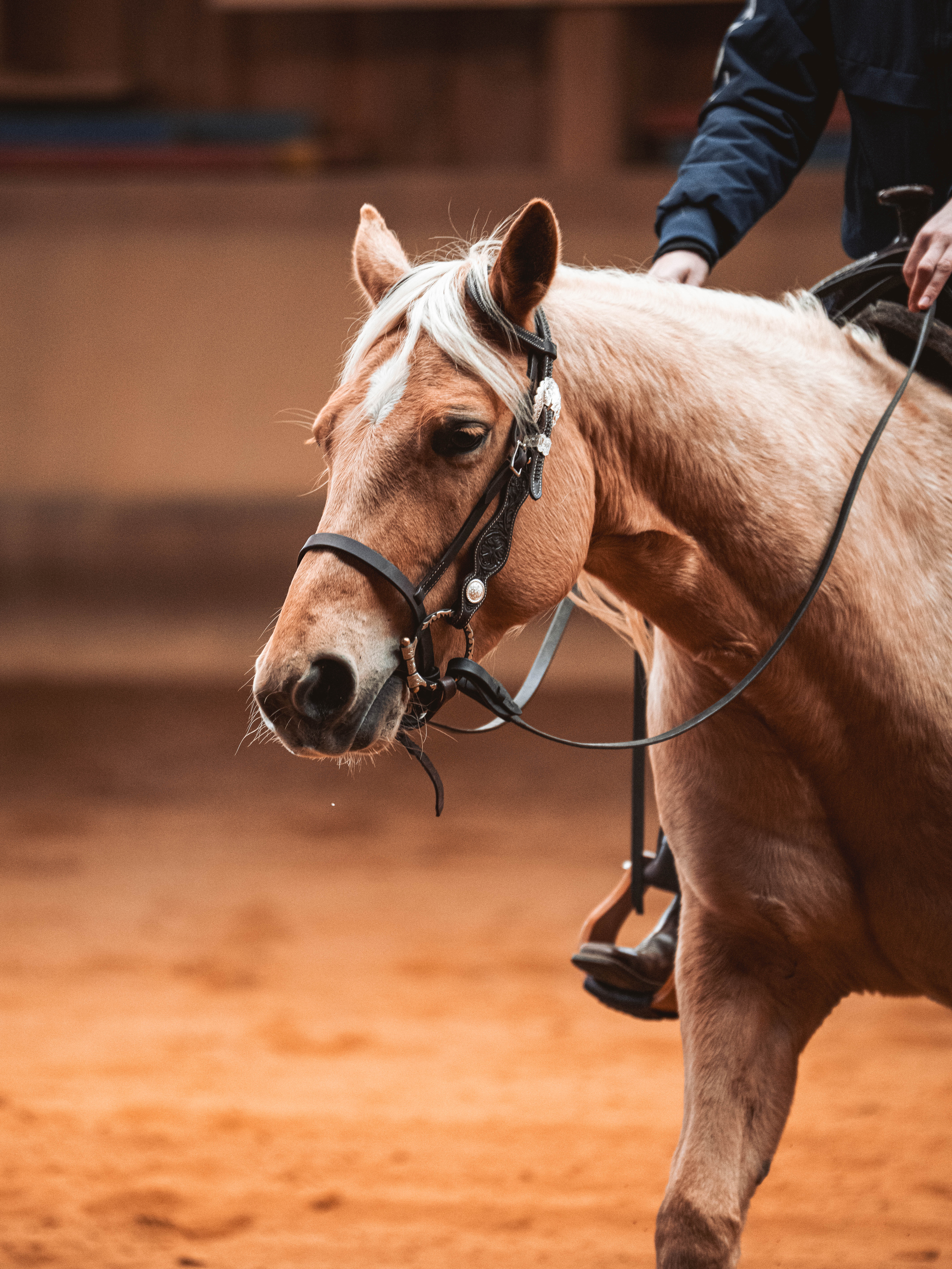 20260322_Silver_Rock_Ranch_Kurs_Tom_Christ_069