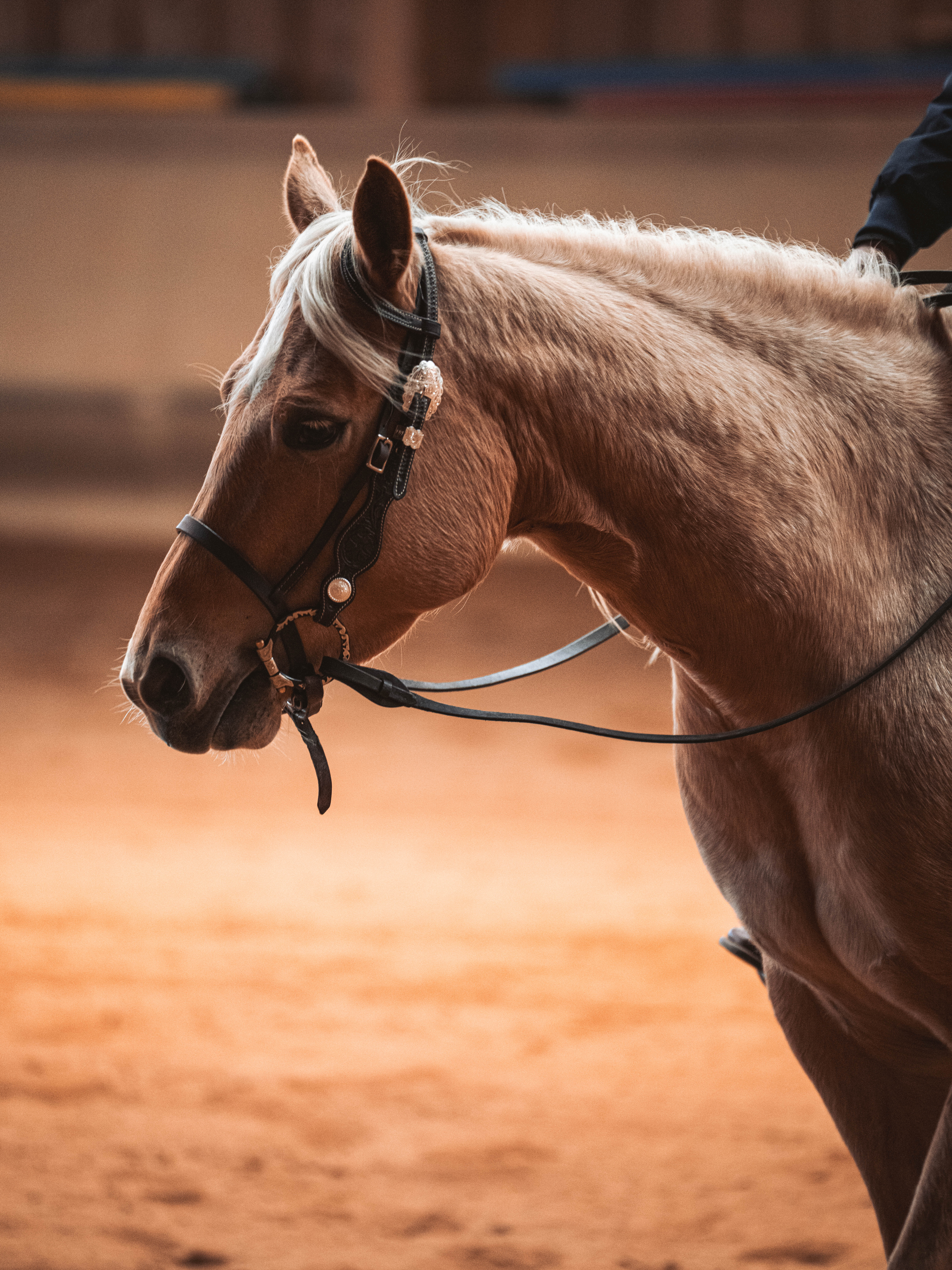 20260322_Silver_Rock_Ranch_Kurs_Tom_Christ_070