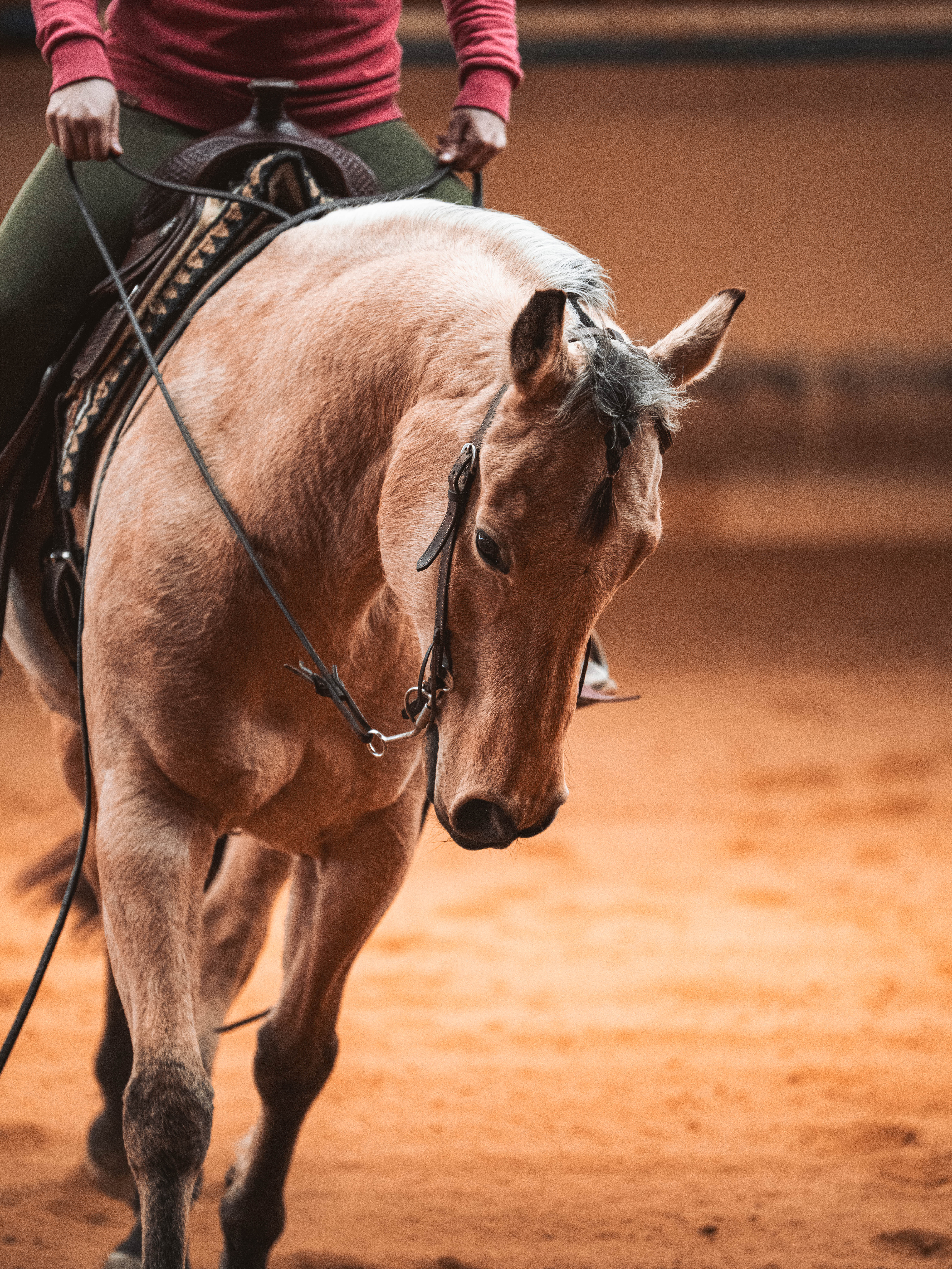 20260322_Silver_Rock_Ranch_Kurs_Tom_Christ_071