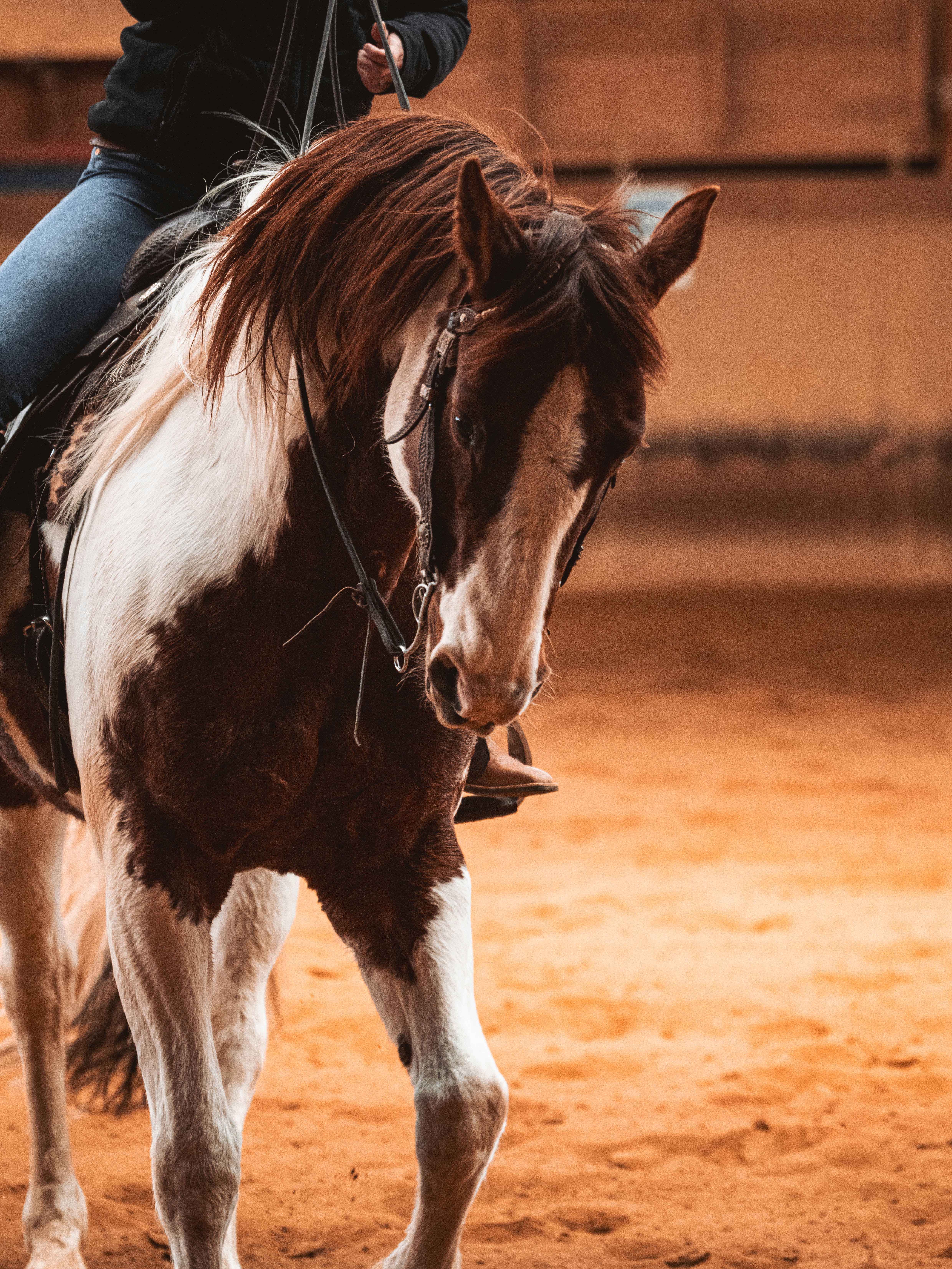 20260322_Silver_Rock_Ranch_Kurs_Tom_Christ_082