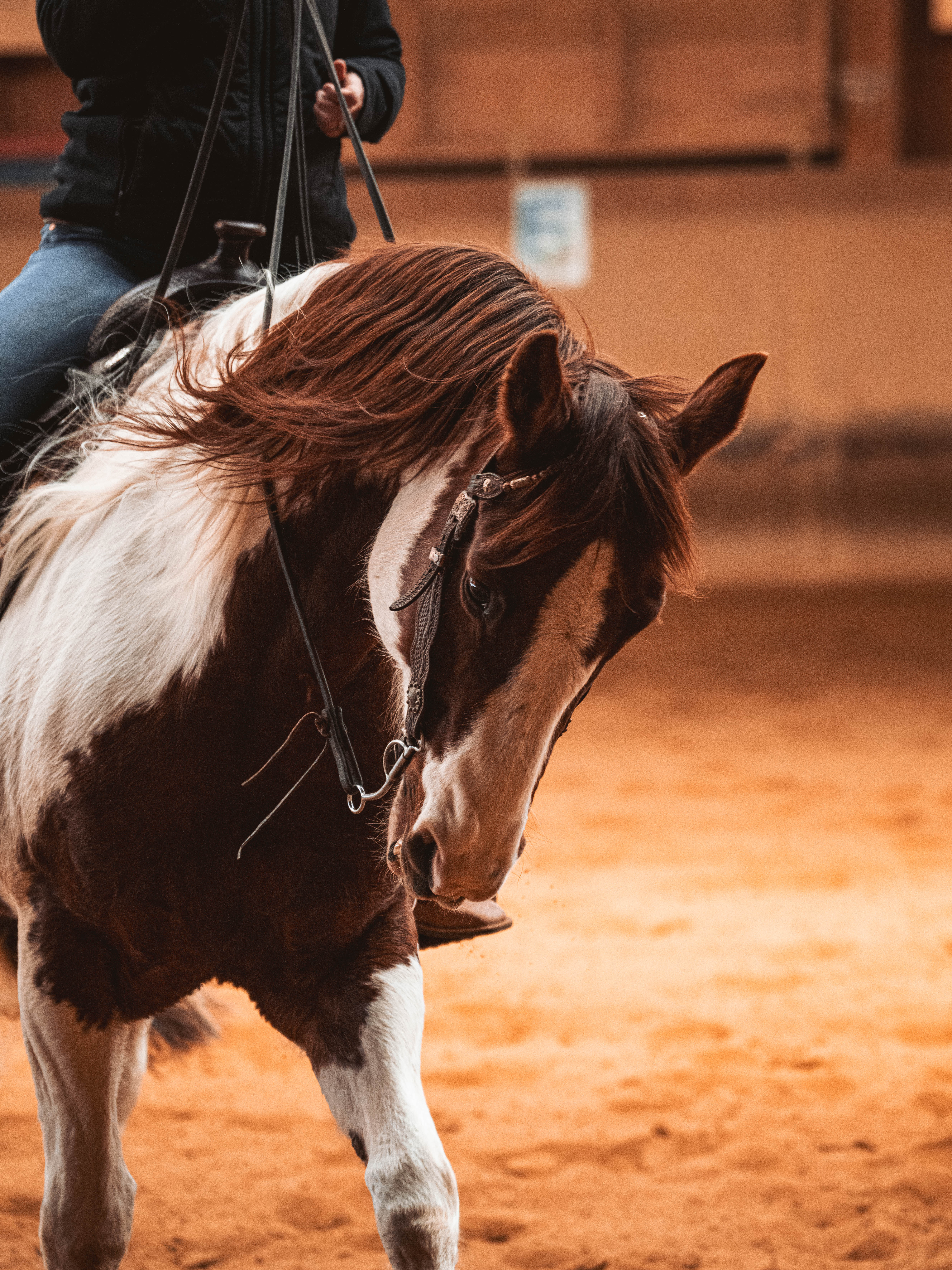 20260322_Silver_Rock_Ranch_Kurs_Tom_Christ_083