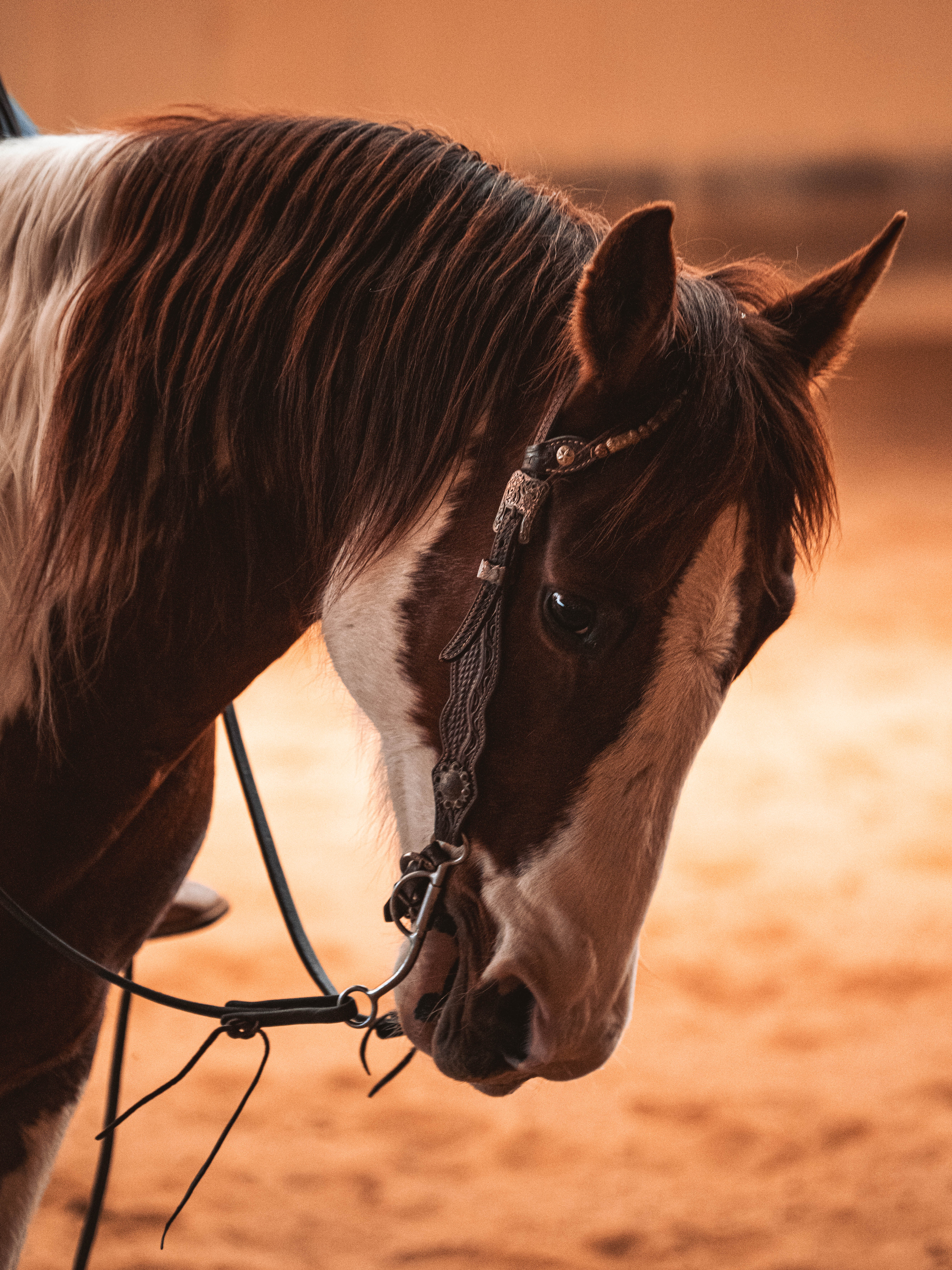 20260322_Silver_Rock_Ranch_Kurs_Tom_Christ_084