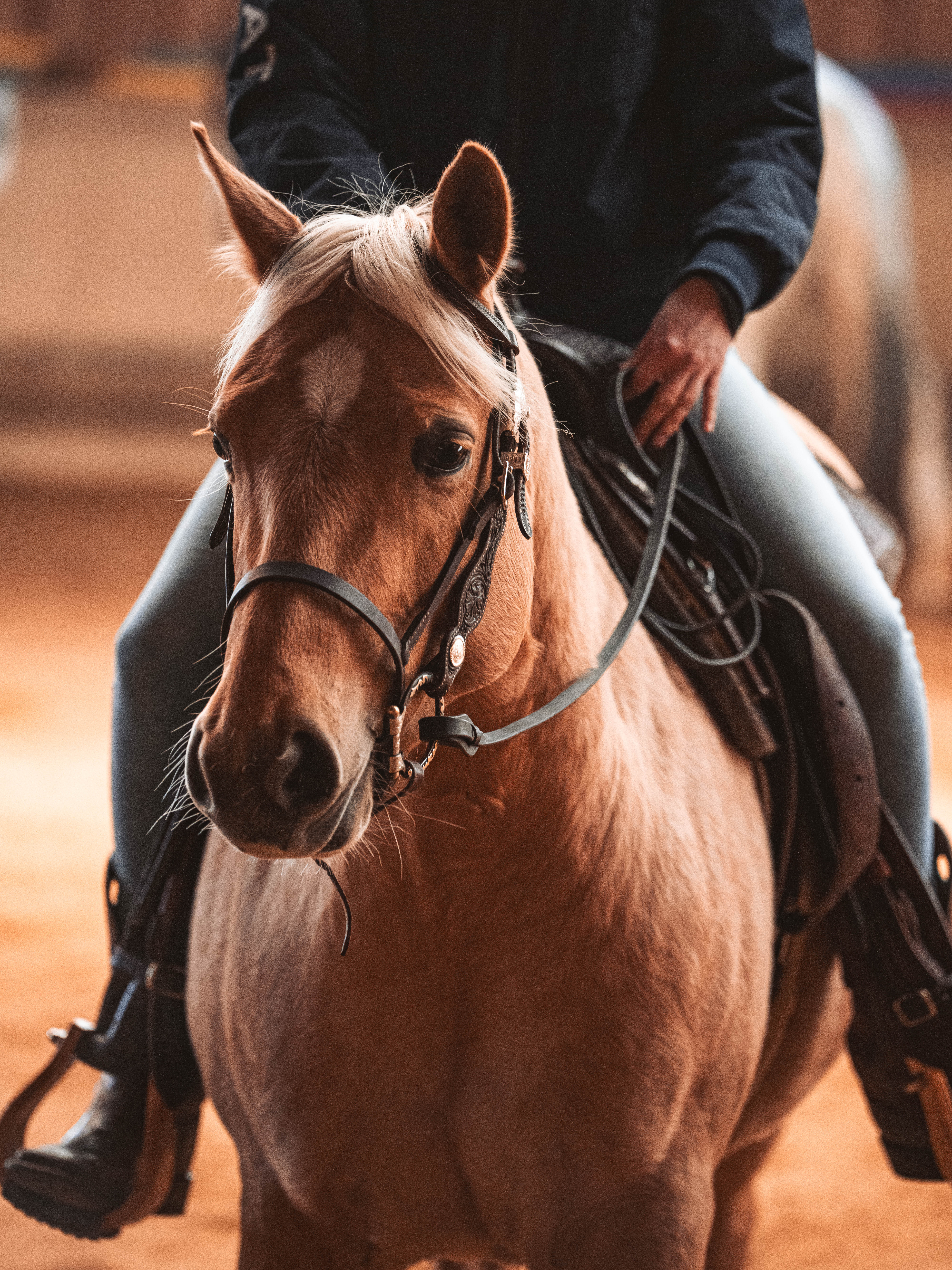 20260322_Silver_Rock_Ranch_Kurs_Tom_Christ_085