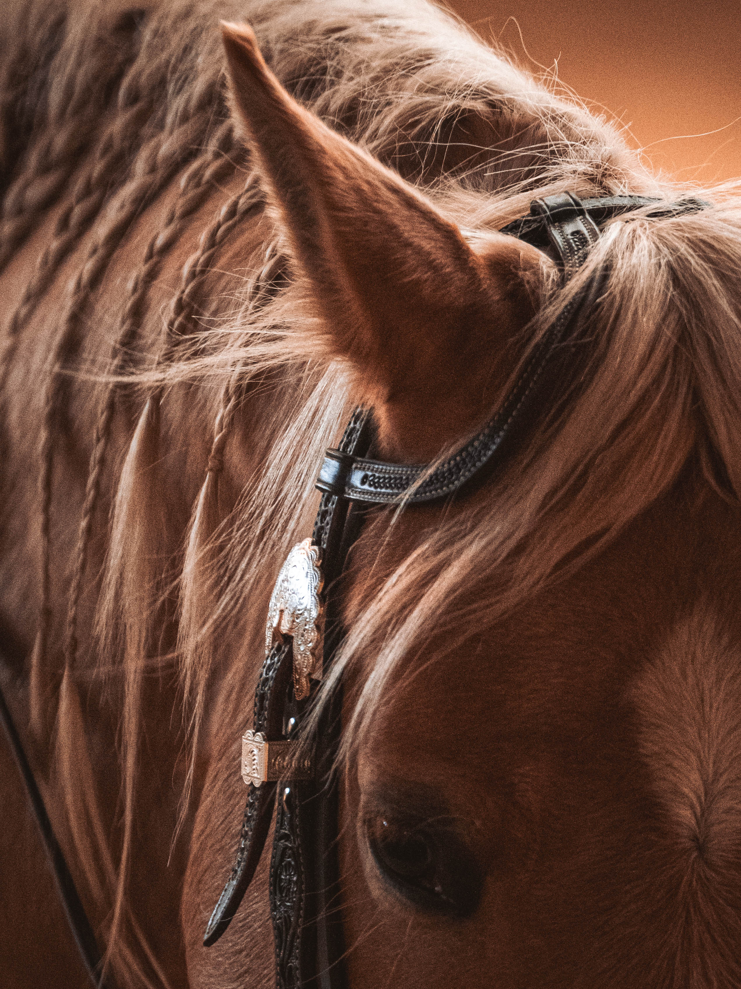 20260322_Silver_Rock_Ranch_Kurs_Tom_Christ_086