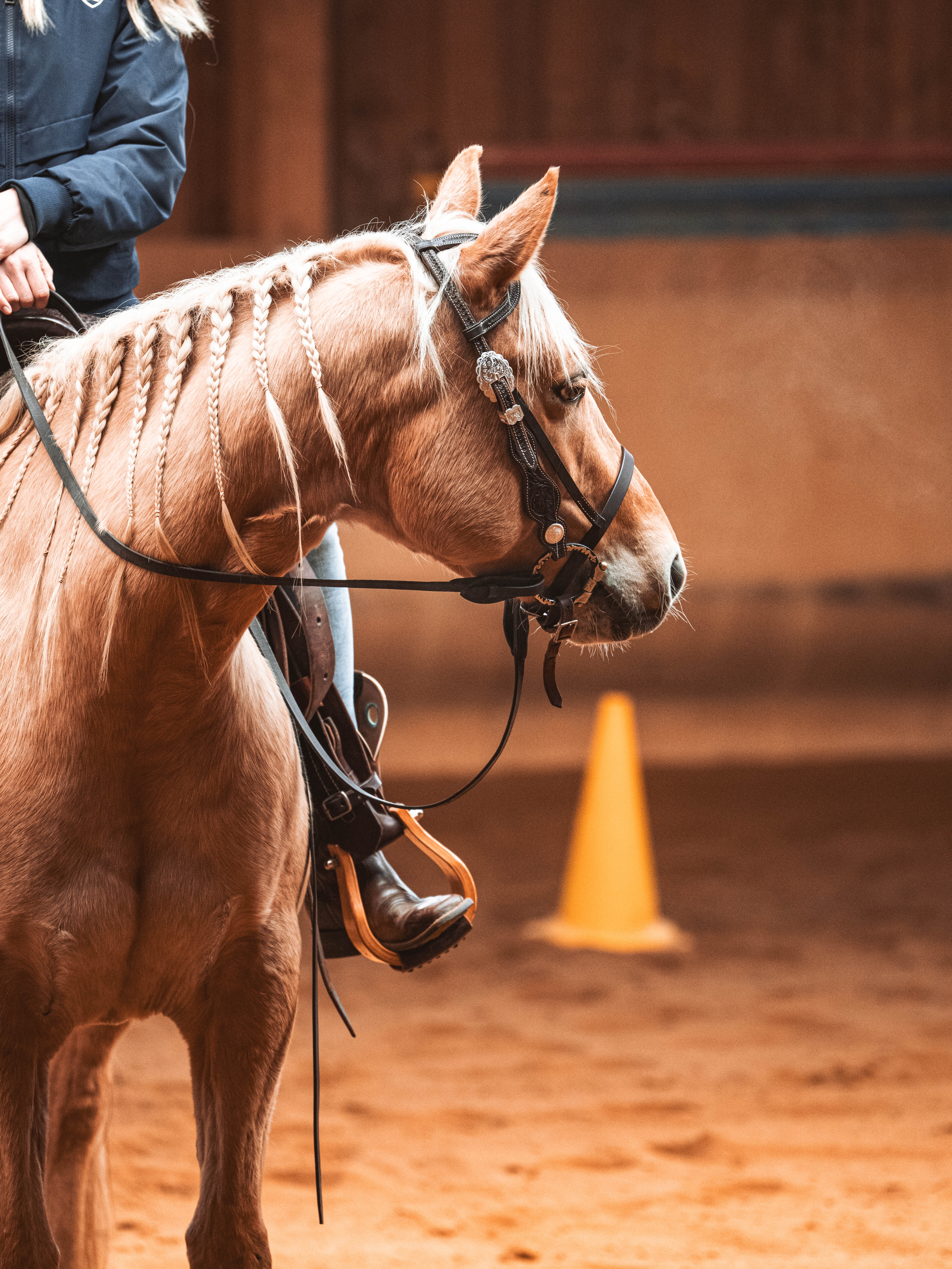 20260322_Silver_Rock_Ranch_Kurs_Tom_Christ_099