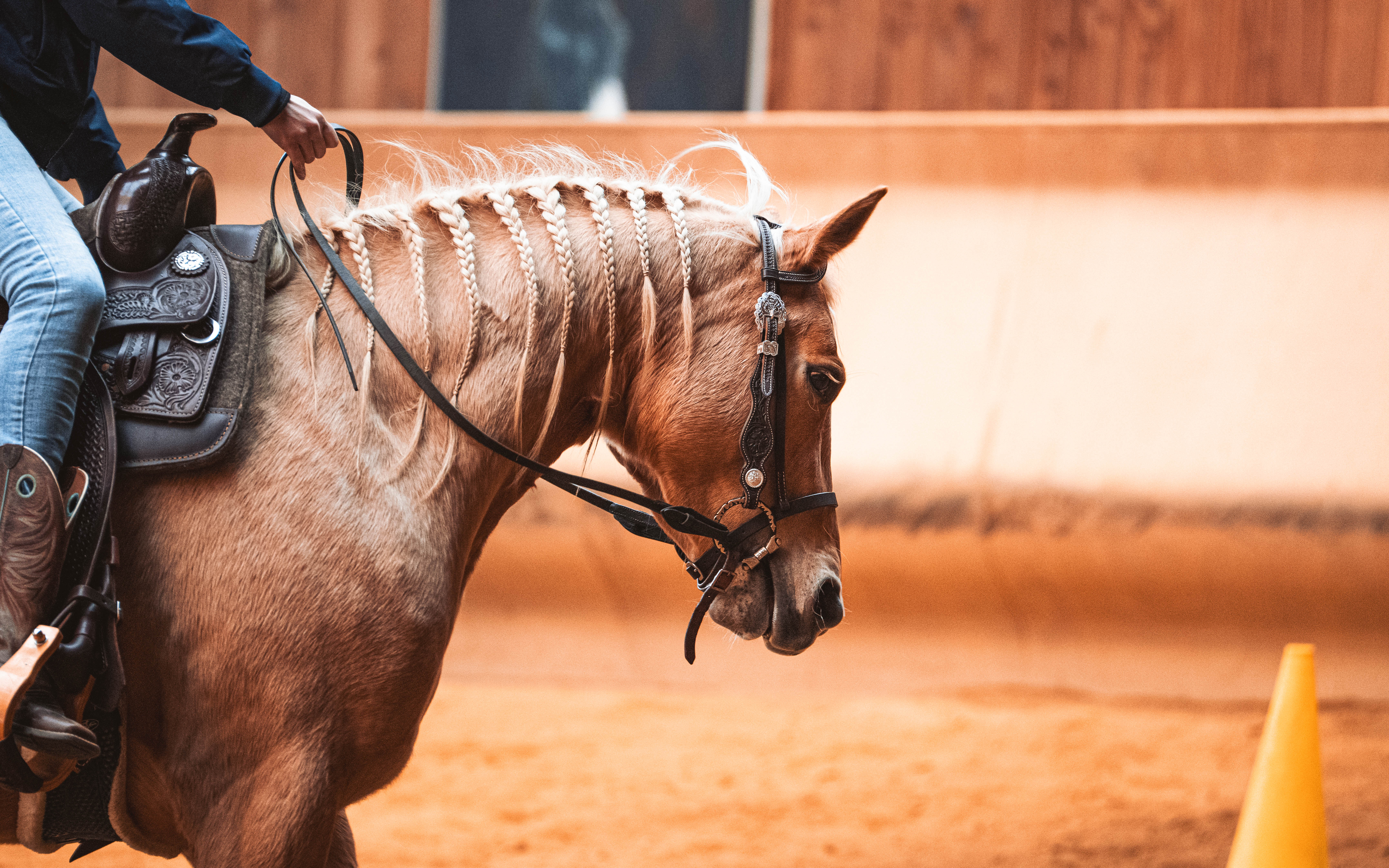 20260322_Silver_Rock_Ranch_Kurs_Tom_Christ_105