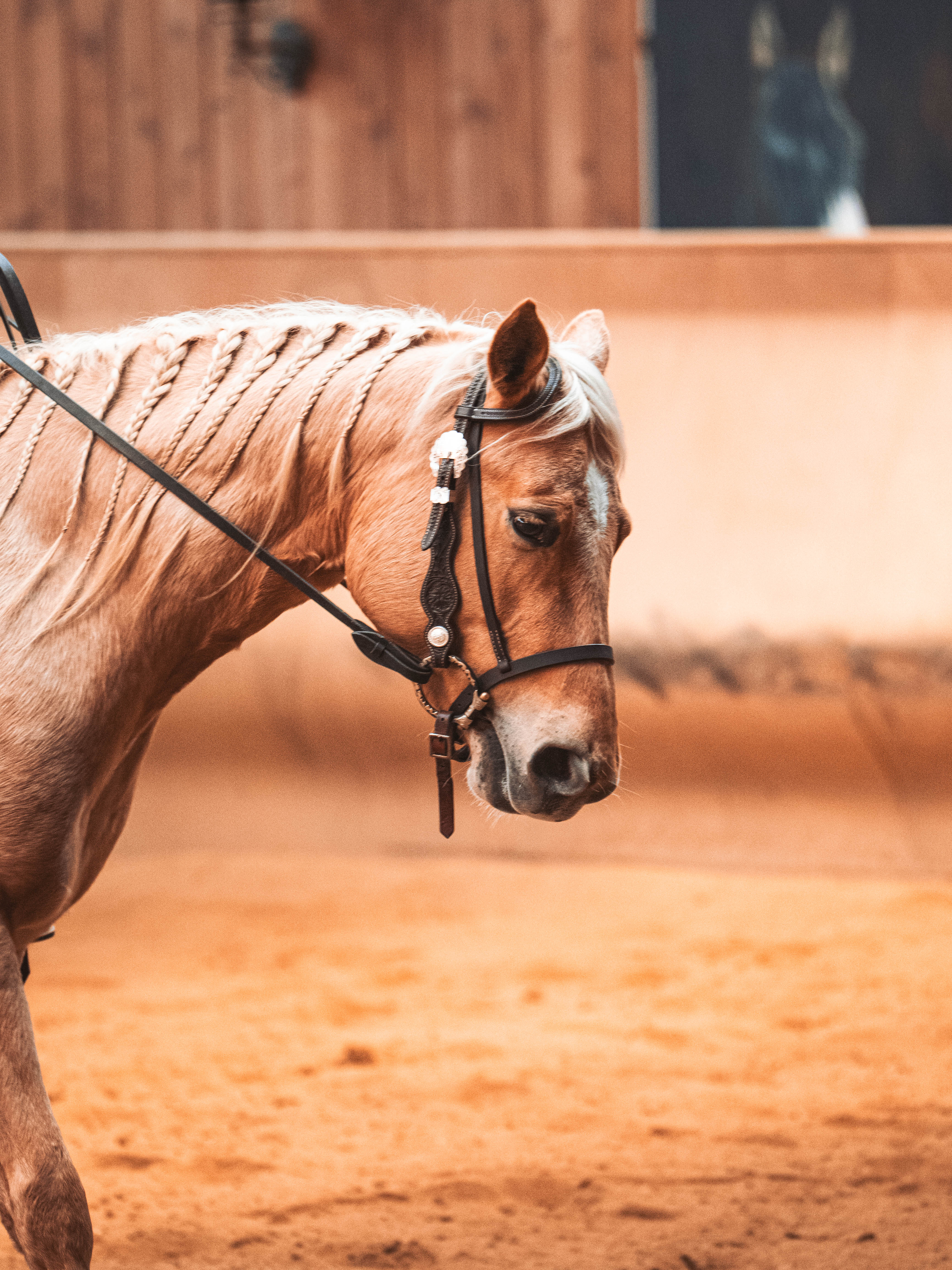 20260322_Silver_Rock_Ranch_Kurs_Tom_Christ_108