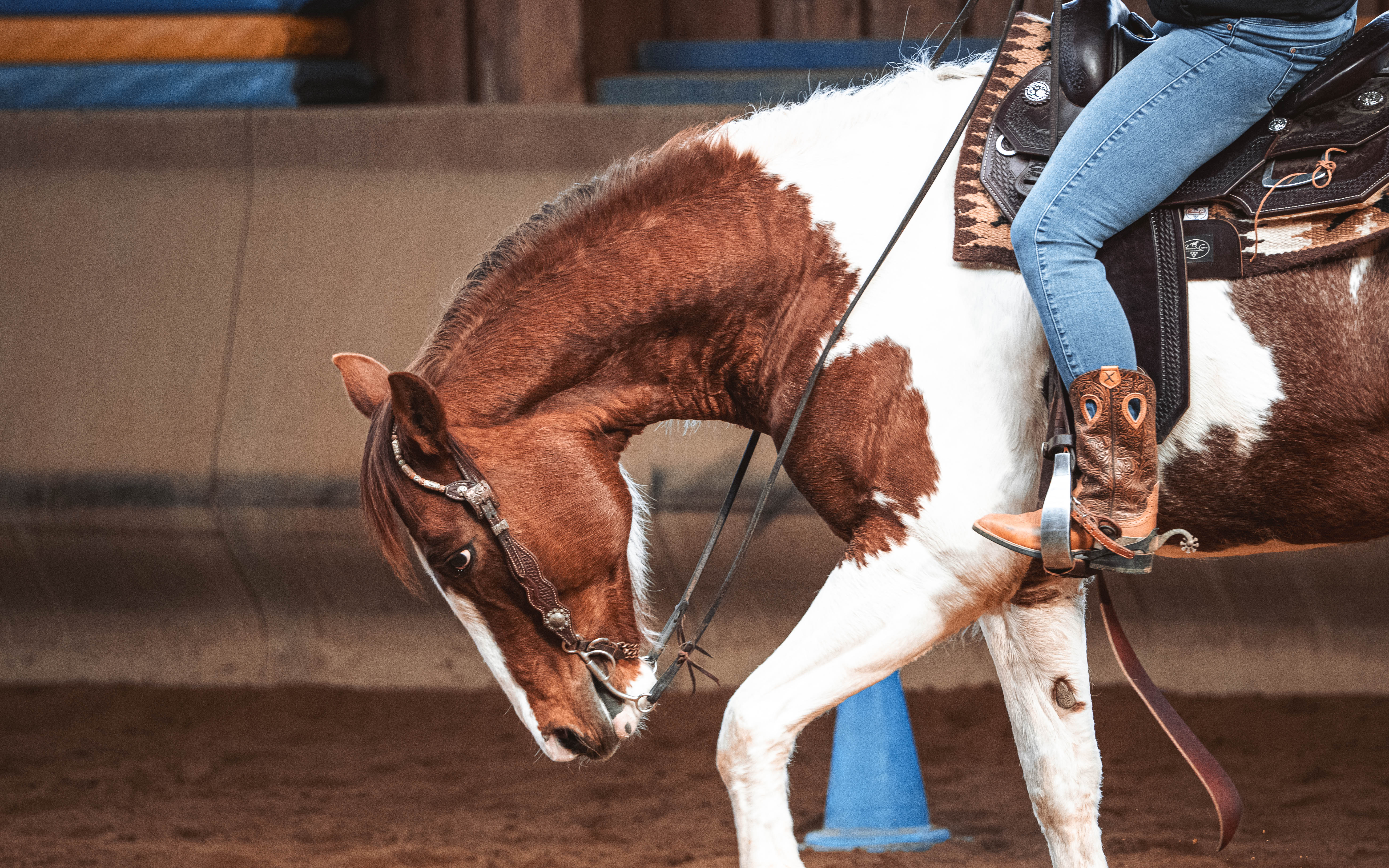 20260322_Silver_Rock_Ranch_Kurs_Tom_Christ_128