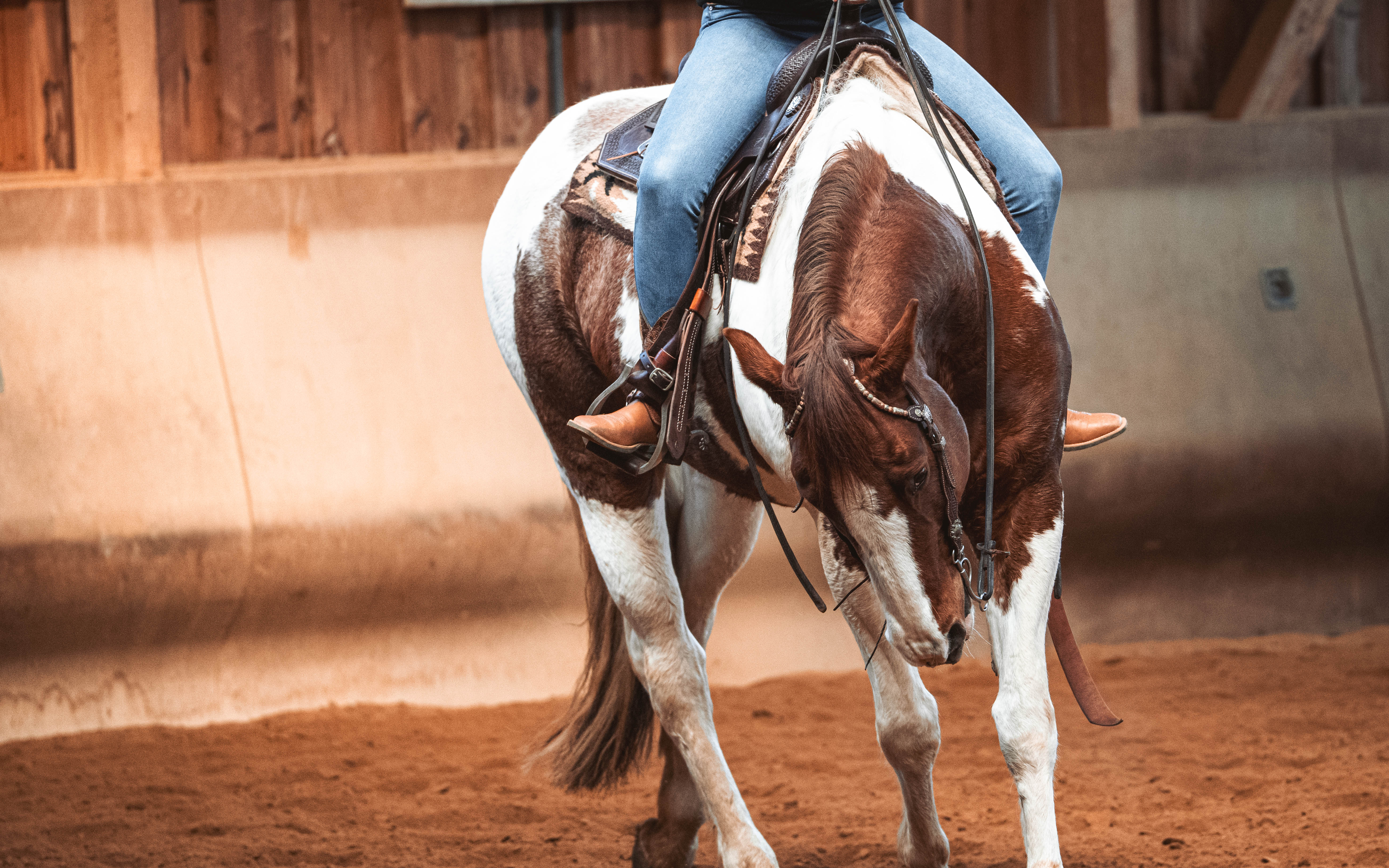 20260322_Silver_Rock_Ranch_Kurs_Tom_Christ_129