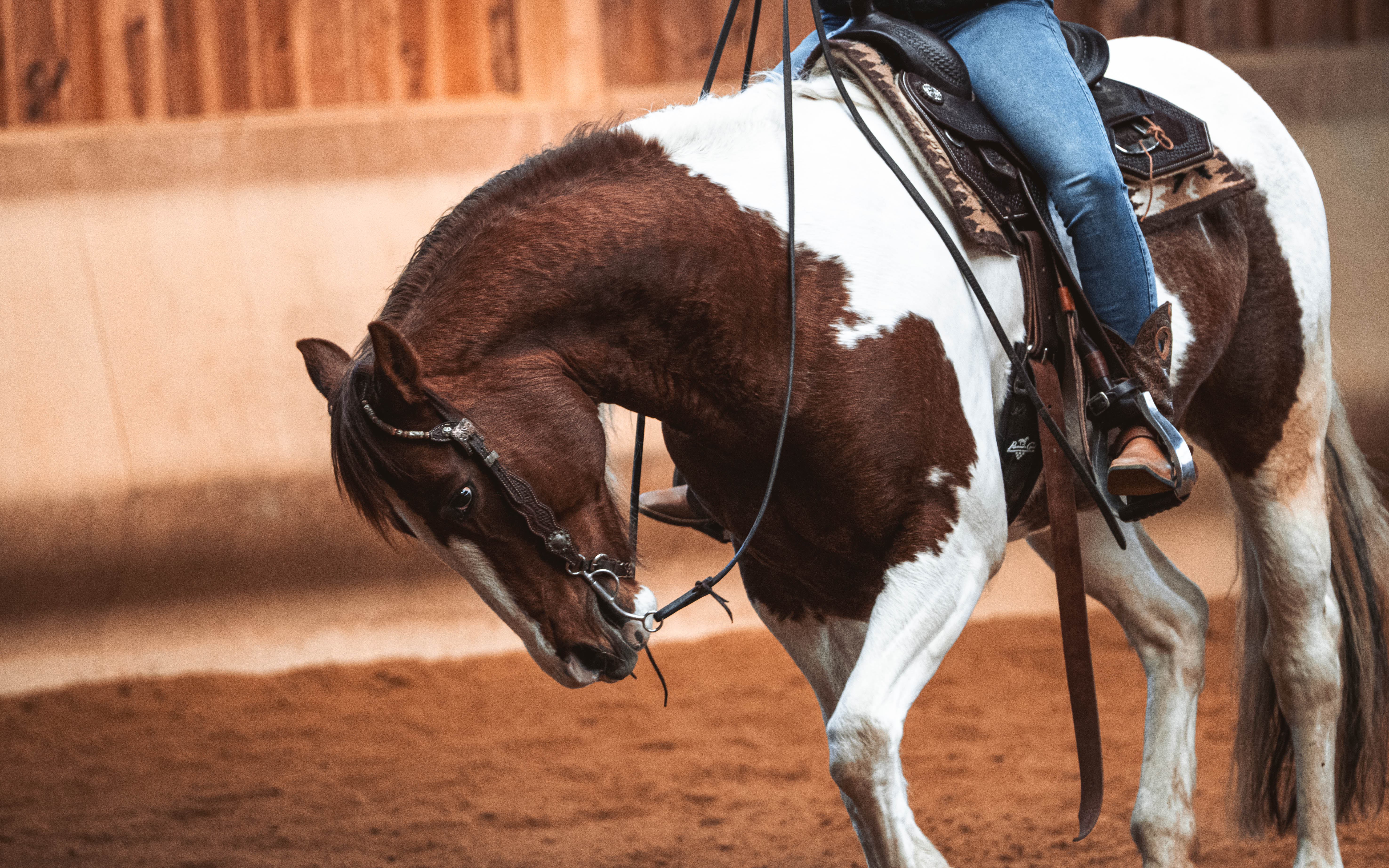 20260322_Silver_Rock_Ranch_Kurs_Tom_Christ_130