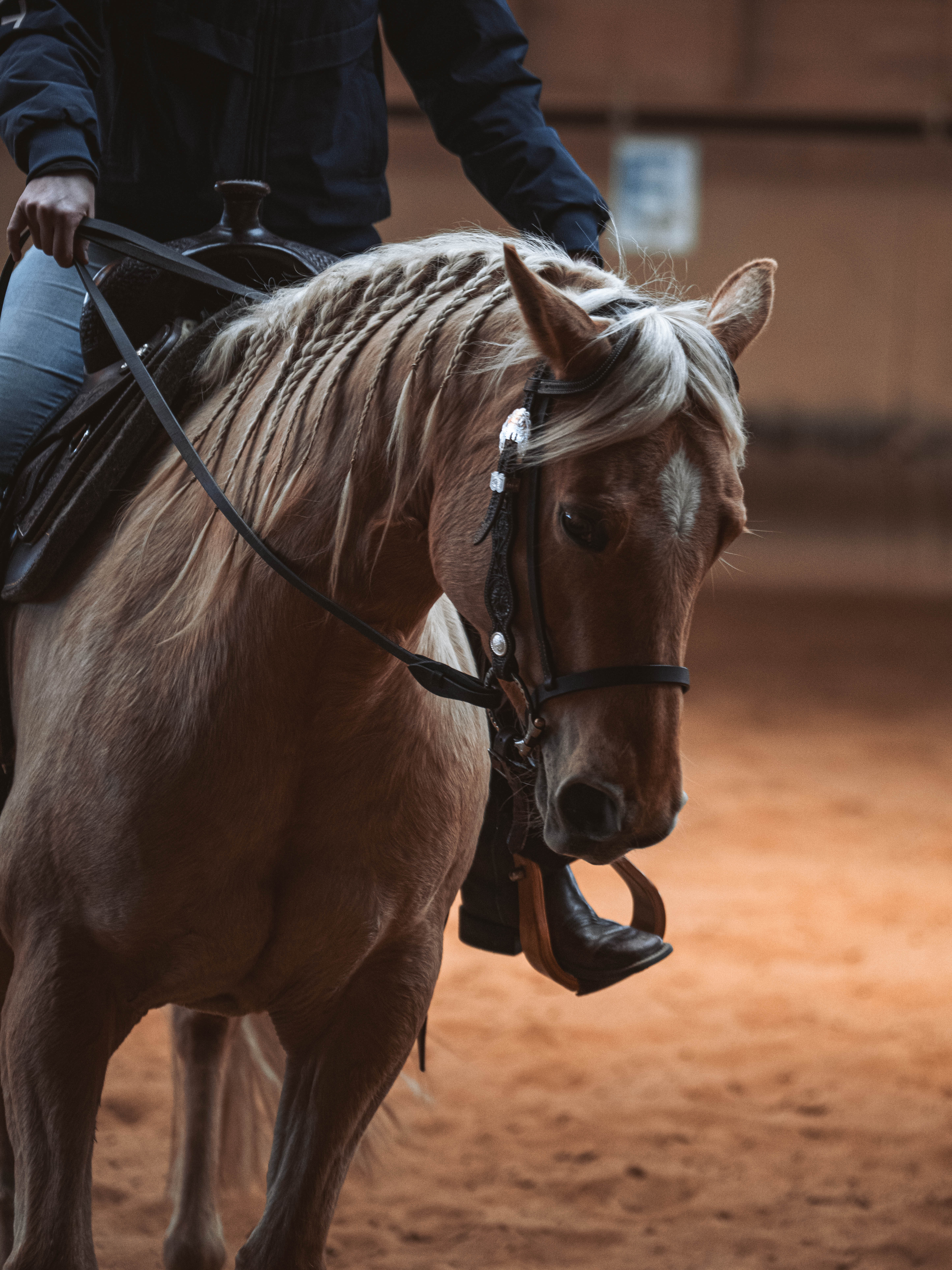 20260322_Silver_Rock_Ranch_Kurs_Tom_Christ_133