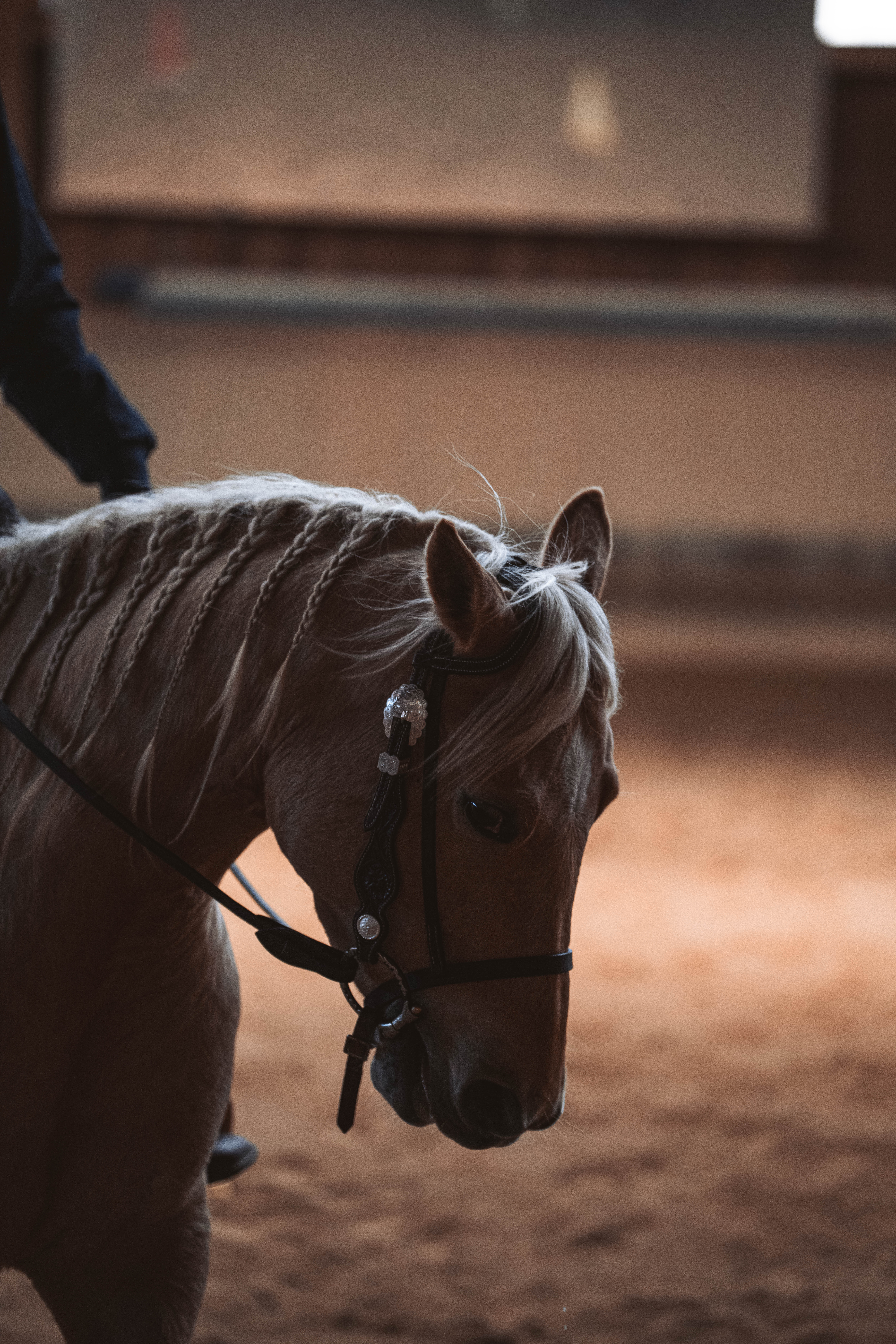 20260322_Silver_Rock_Ranch_Kurs_Tom_Christ_134