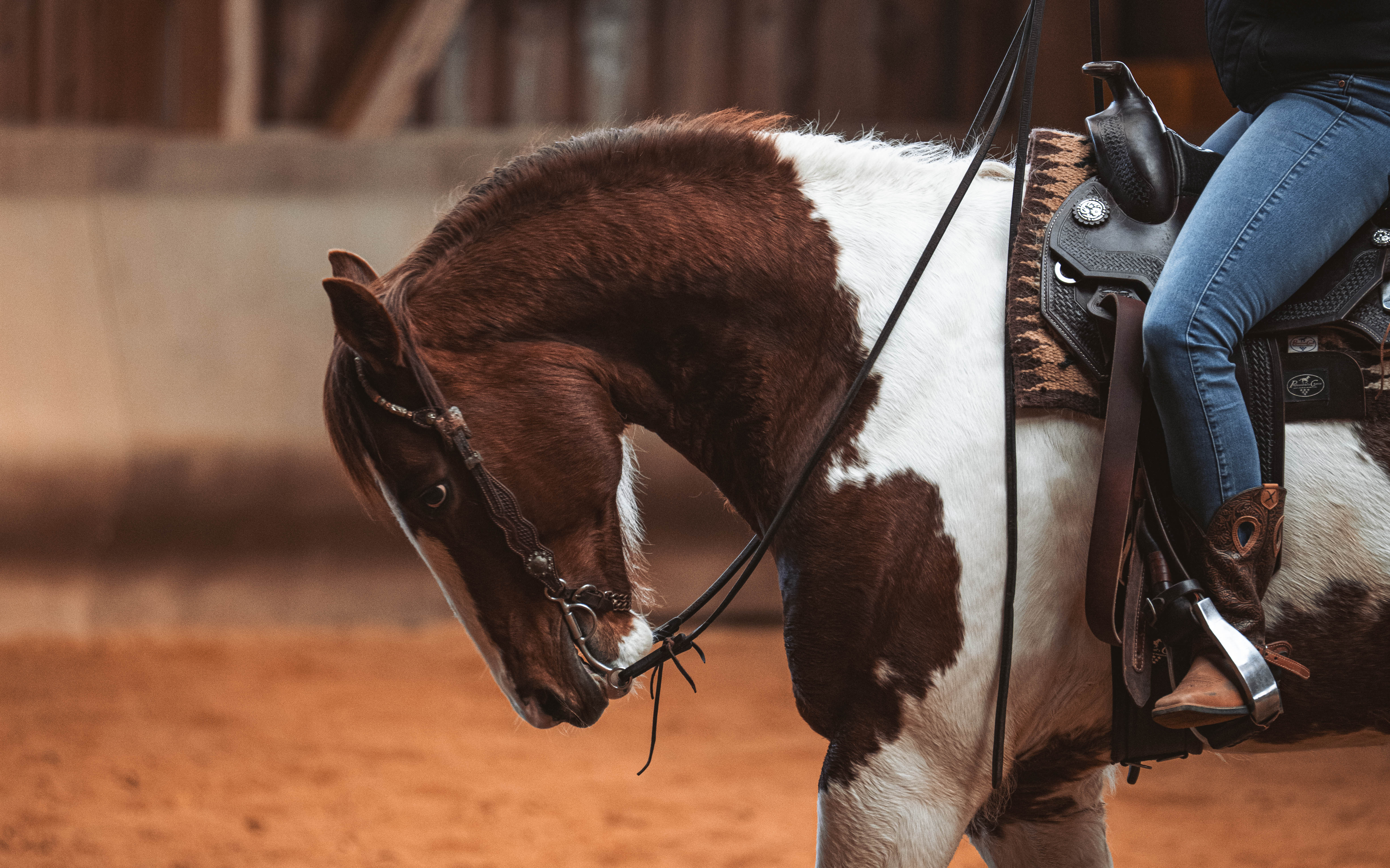 20260322_Silver_Rock_Ranch_Kurs_Tom_Christ_137