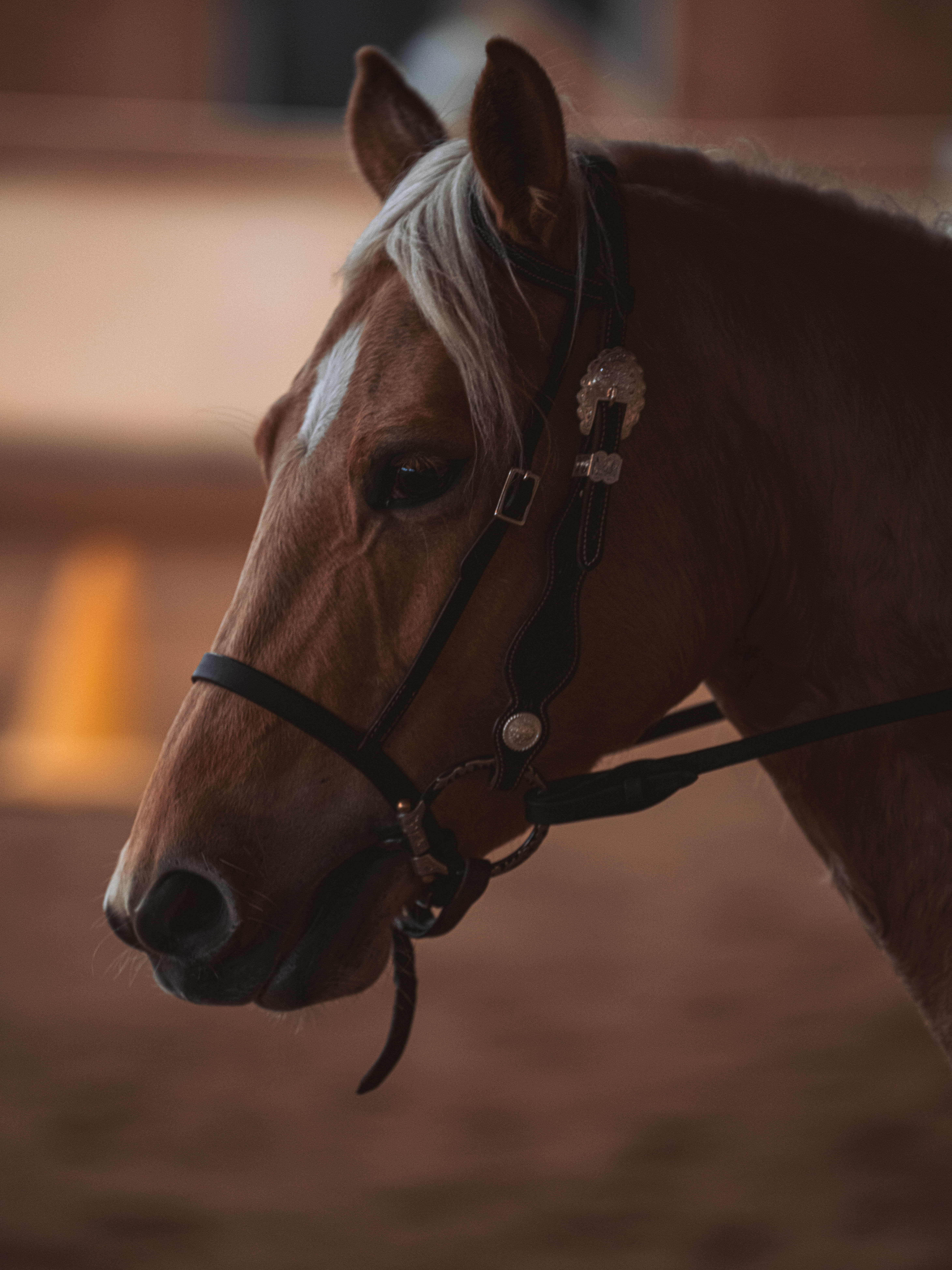 20260322_Silver_Rock_Ranch_Kurs_Tom_Christ_146