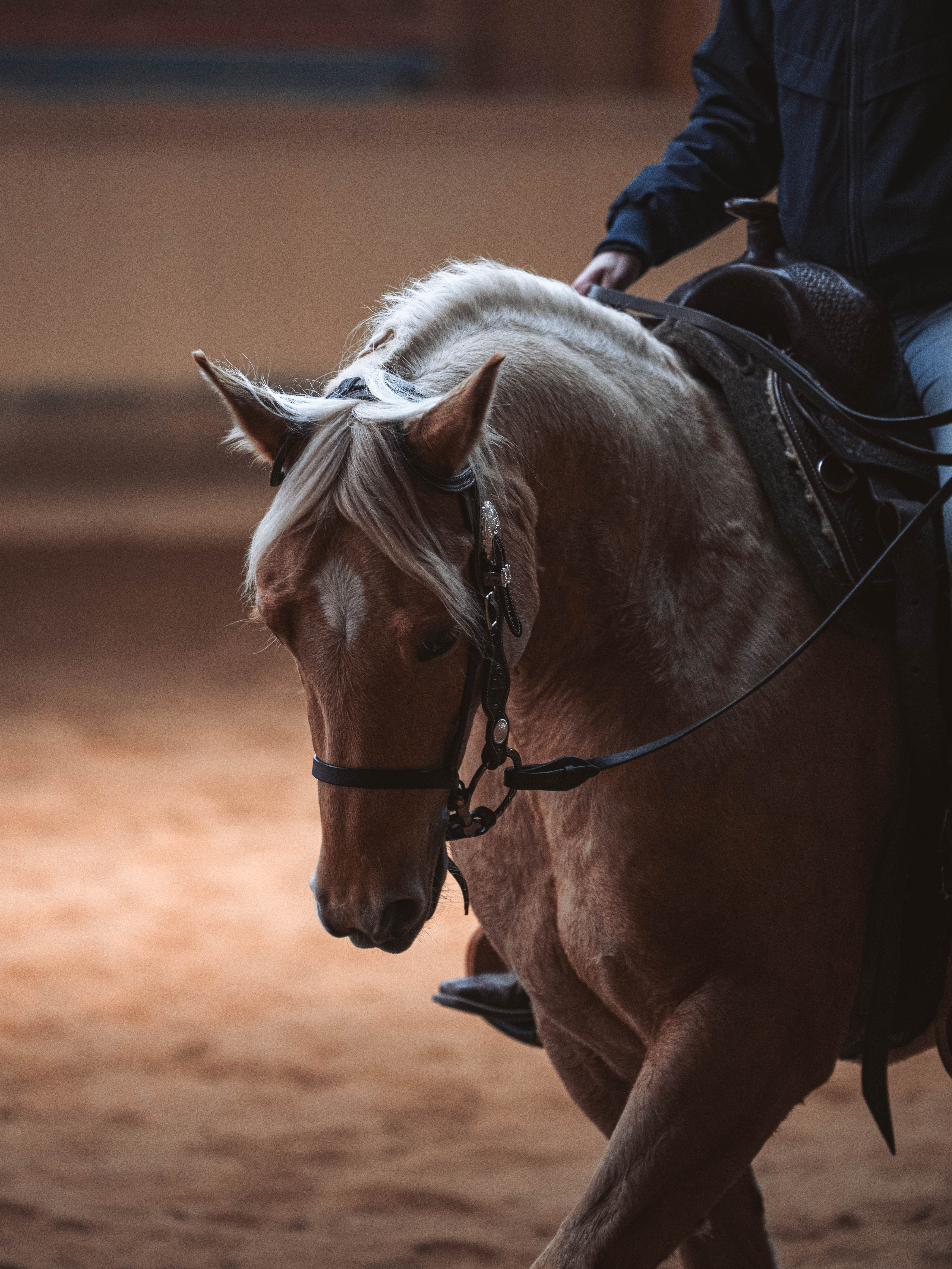 20260322_Silver_Rock_Ranch_Kurs_Tom_Christ_153