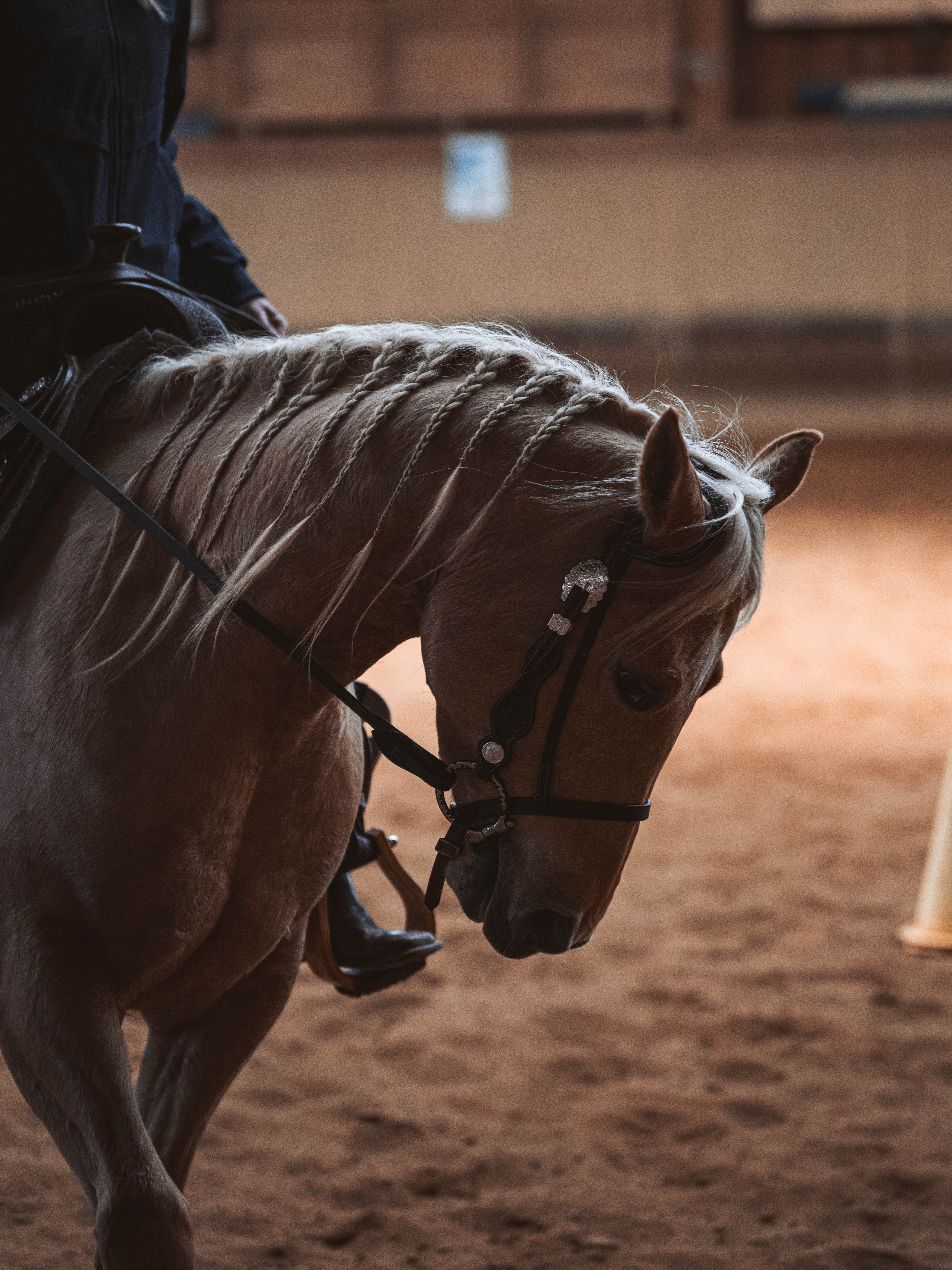 20260322_Silver_Rock_Ranch_Kurs_Tom_Christ_159