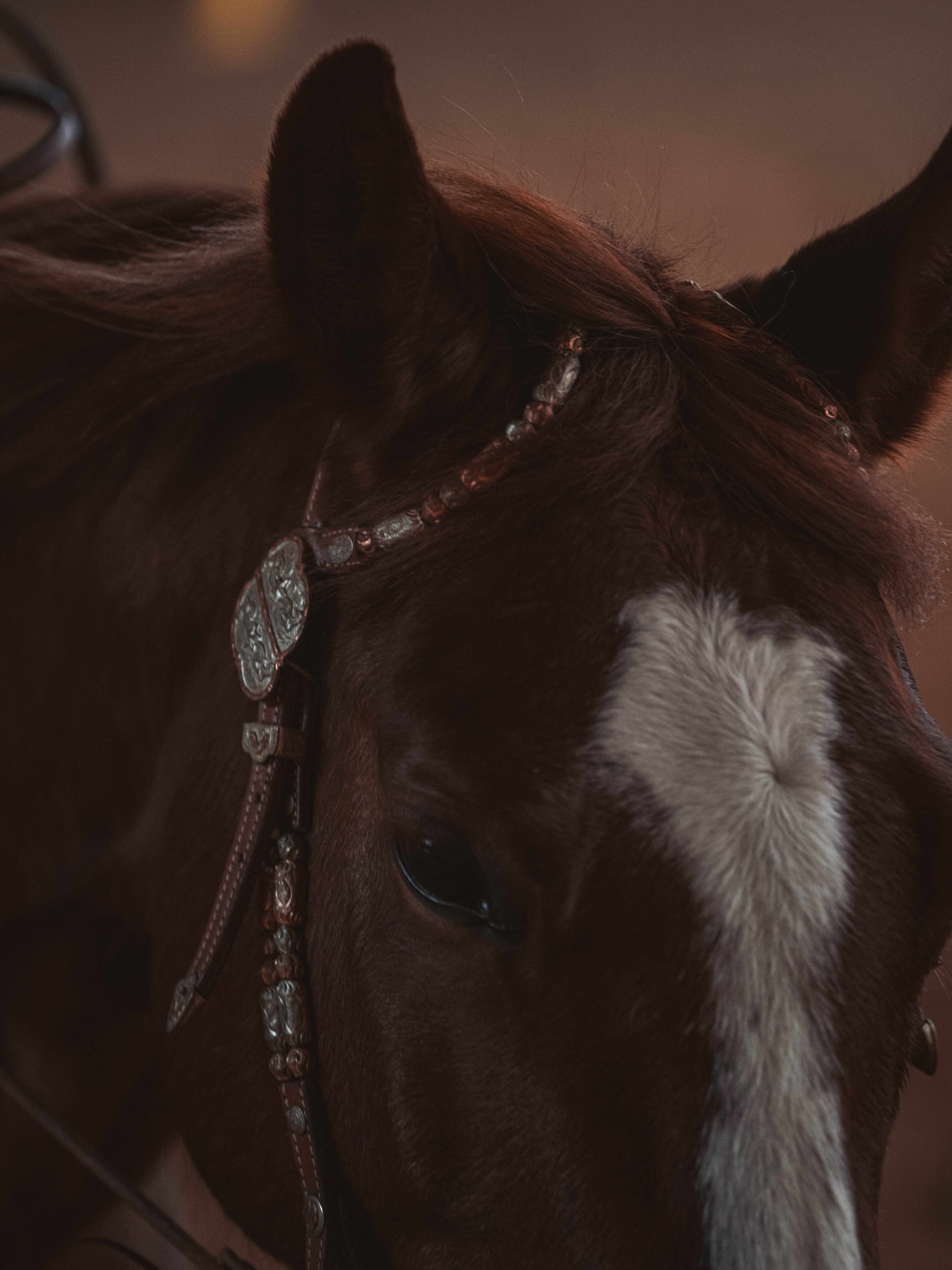 20260322_Silver_Rock_Ranch_Kurs_Tom_Christ_165