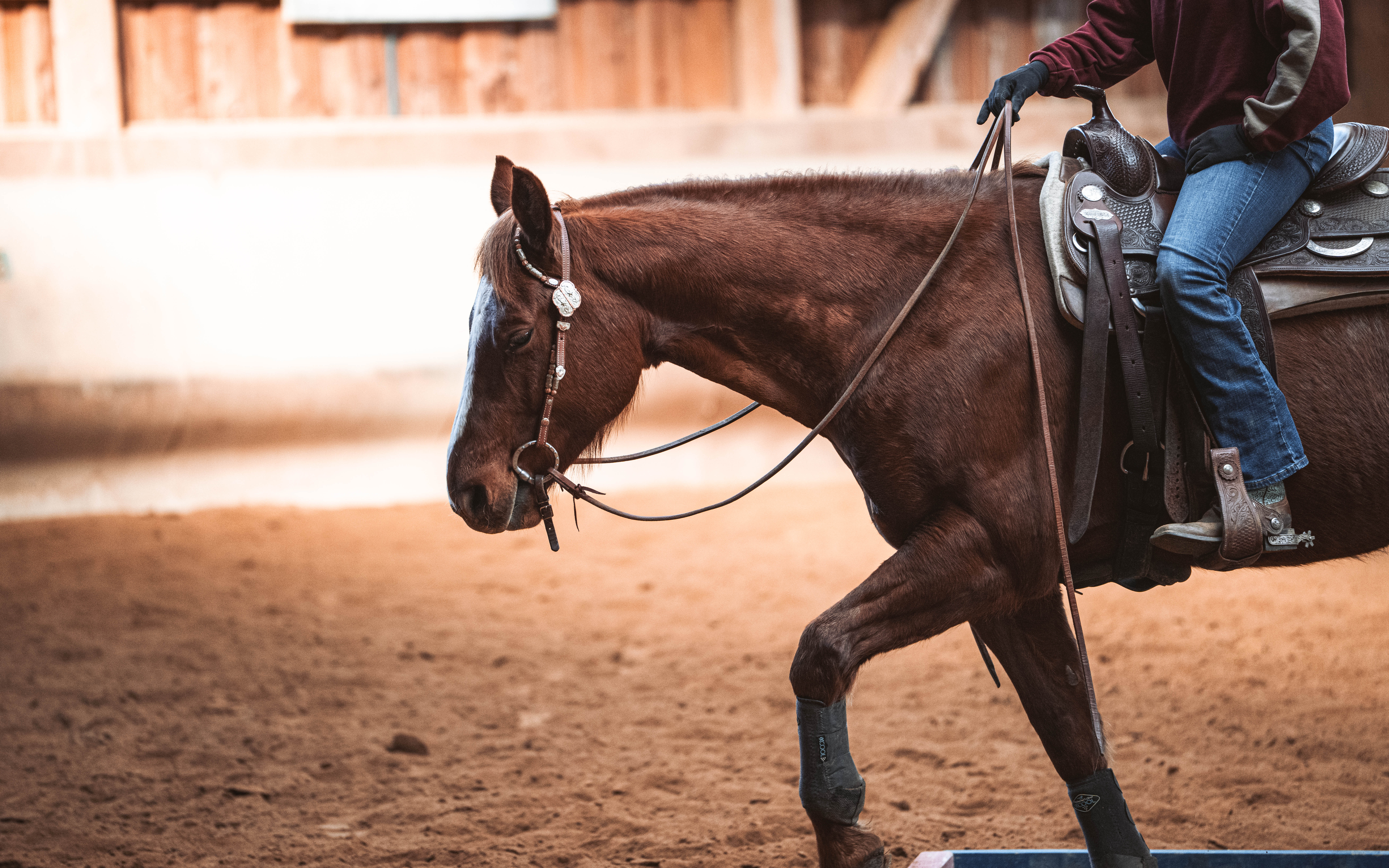 20260322_Silver_Rock_Ranch_Kurs_Tom_Christ_174