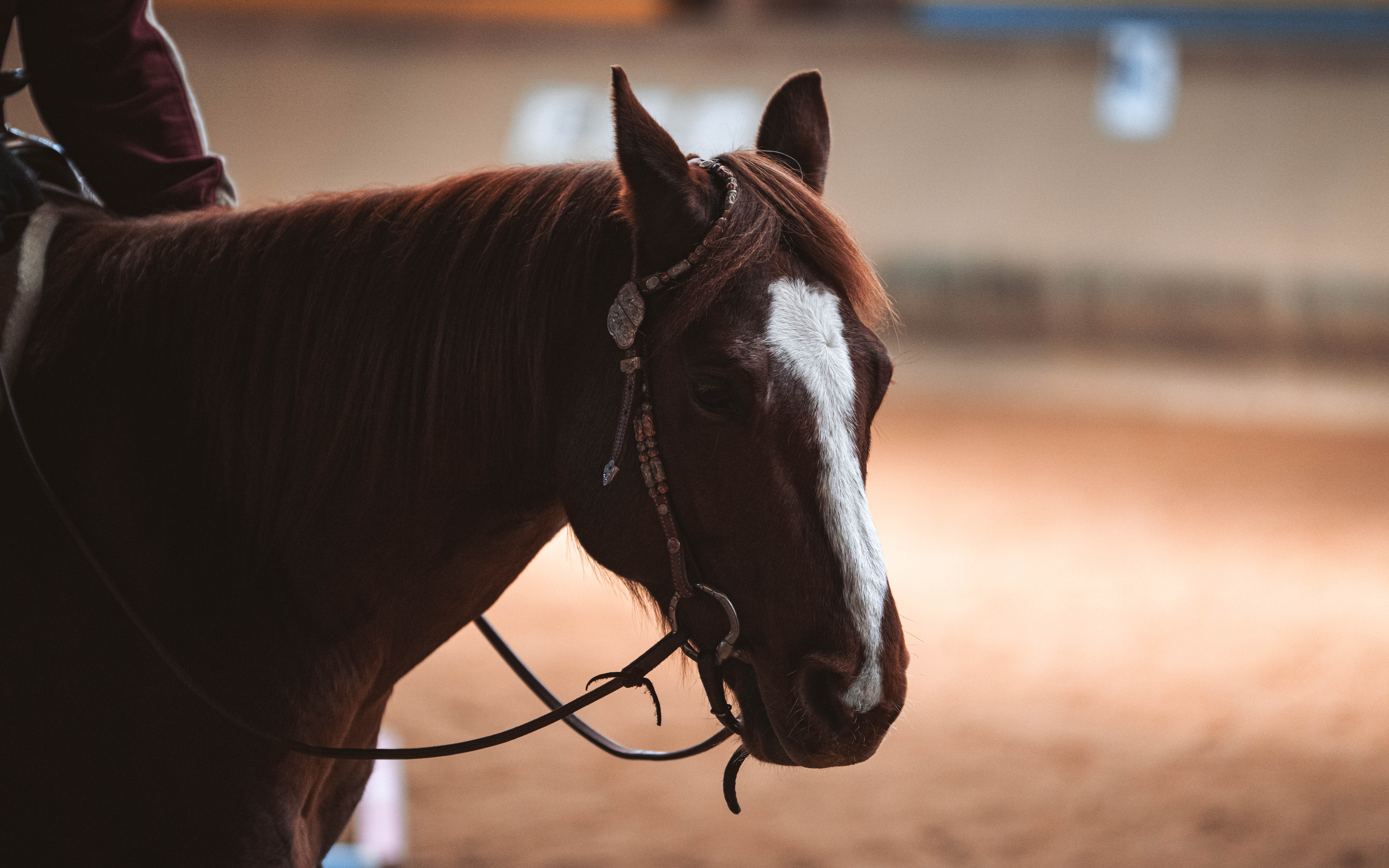 20260322_Silver_Rock_Ranch_Kurs_Tom_Christ_176