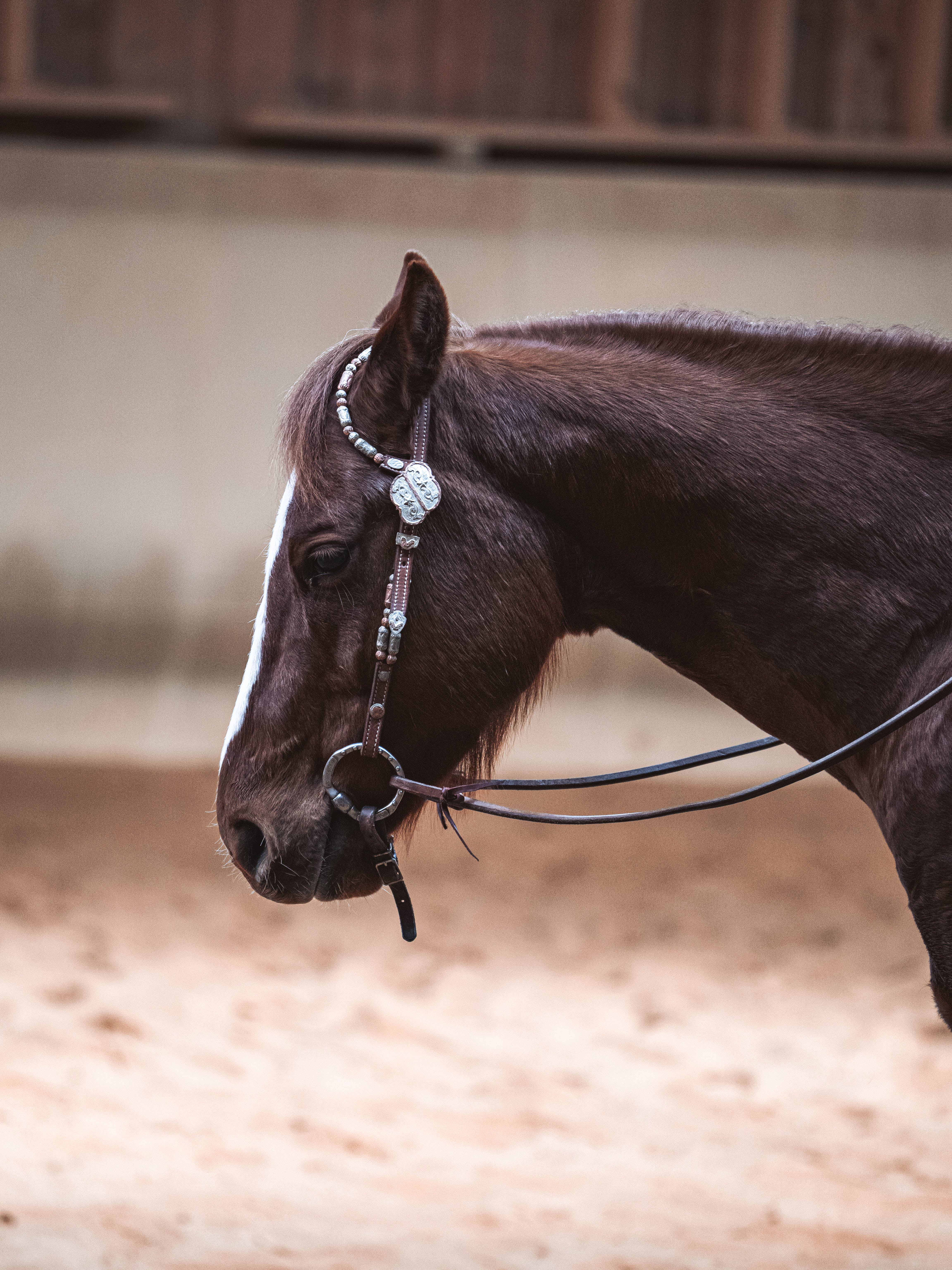 20260322_Silver_Rock_Ranch_Kurs_Tom_Christ_177