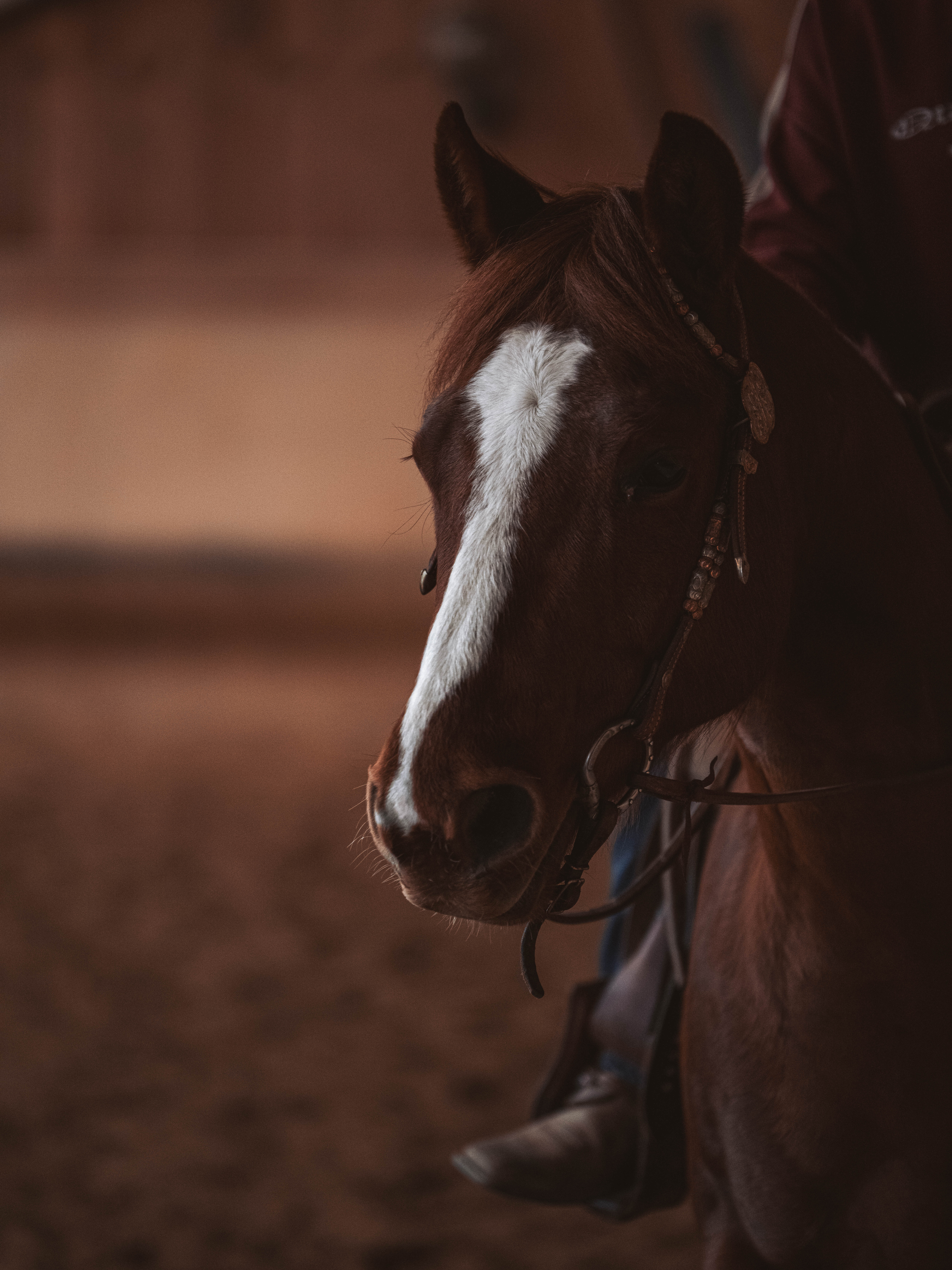 20260322_Silver_Rock_Ranch_Kurs_Tom_Christ_185