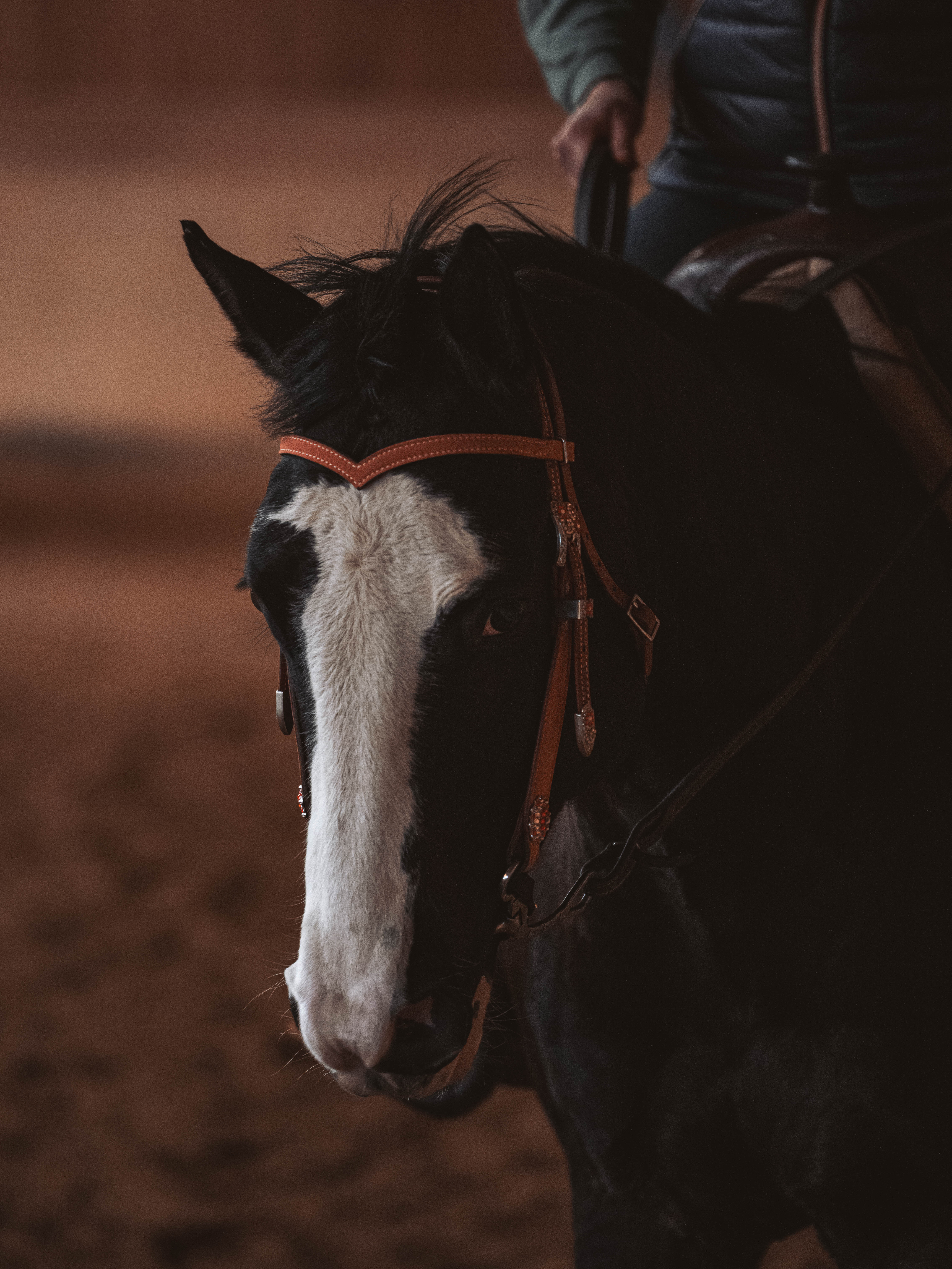 20260322_Silver_Rock_Ranch_Kurs_Tom_Christ_192