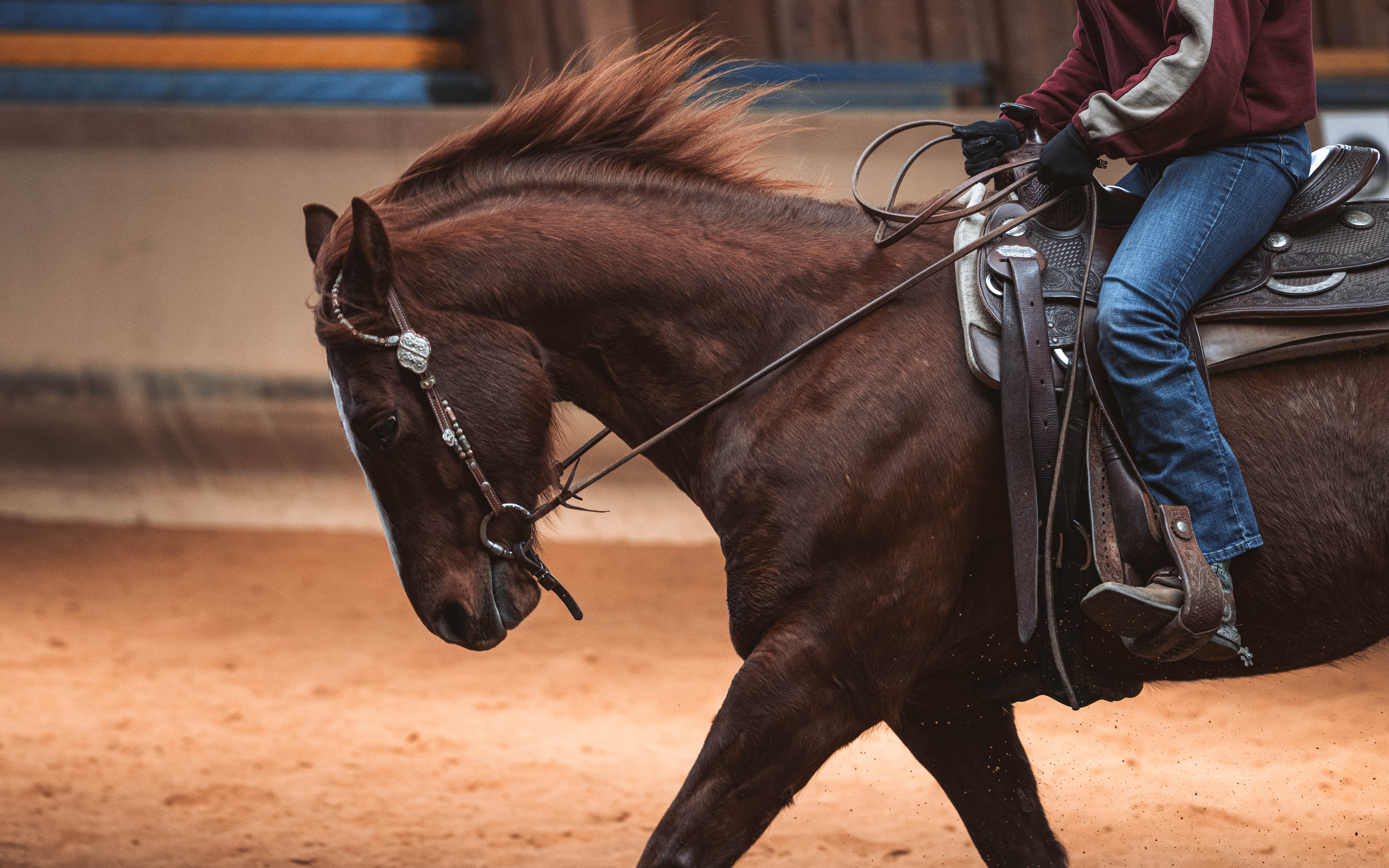 20260322_Silver_Rock_Ranch_Kurs_Tom_Christ_199