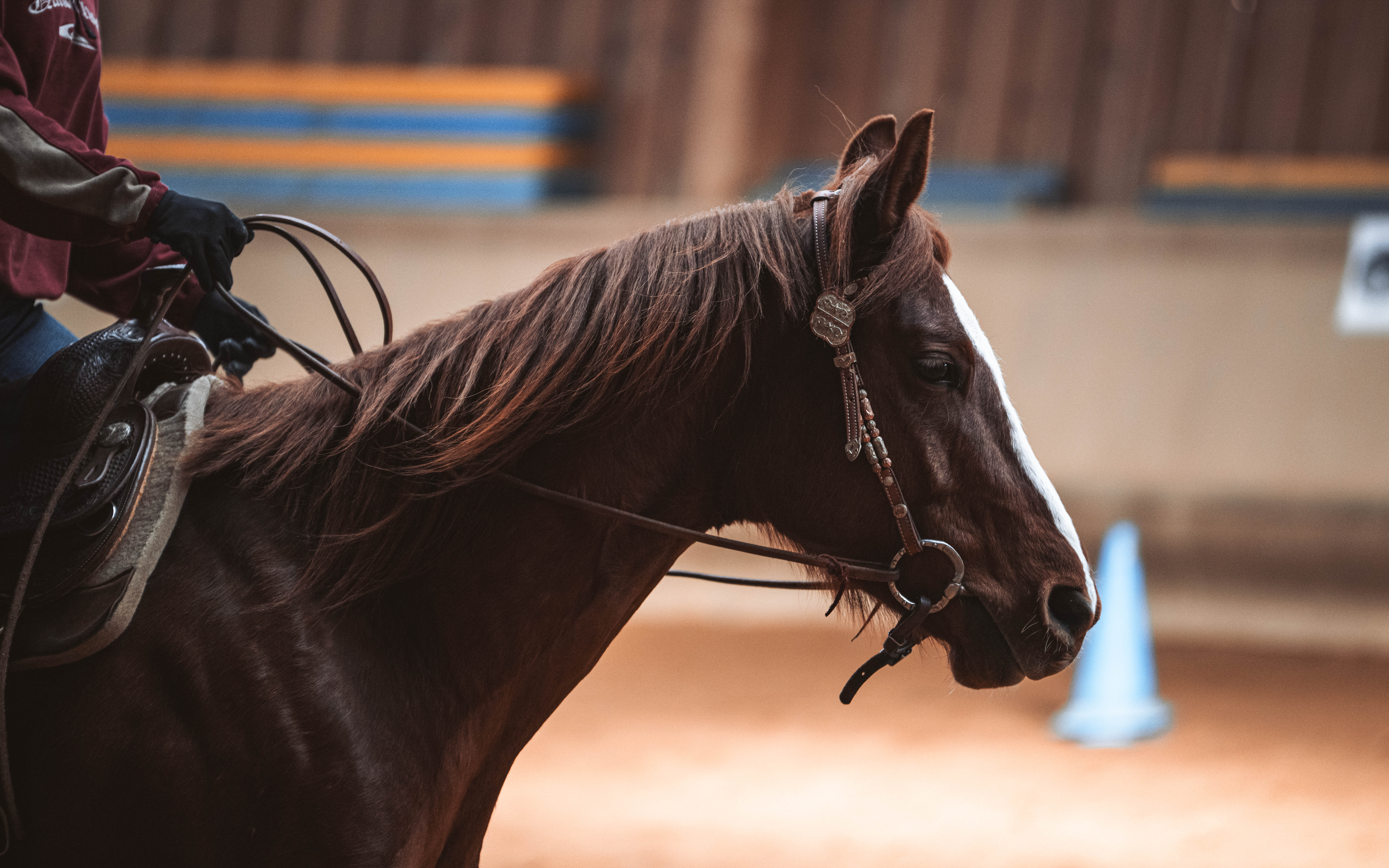 20260322_Silver_Rock_Ranch_Kurs_Tom_Christ_201