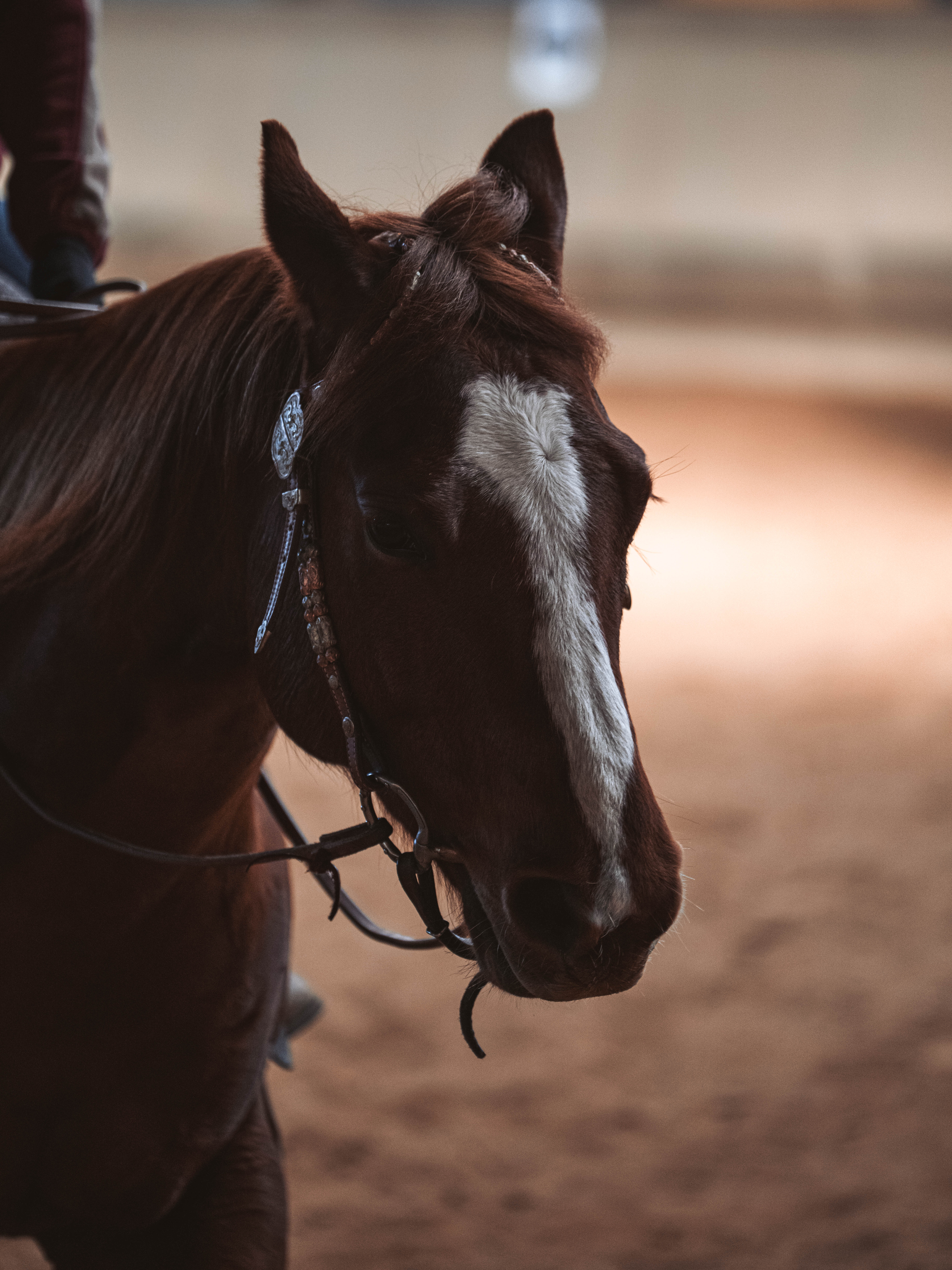 20260322_Silver_Rock_Ranch_Kurs_Tom_Christ_203