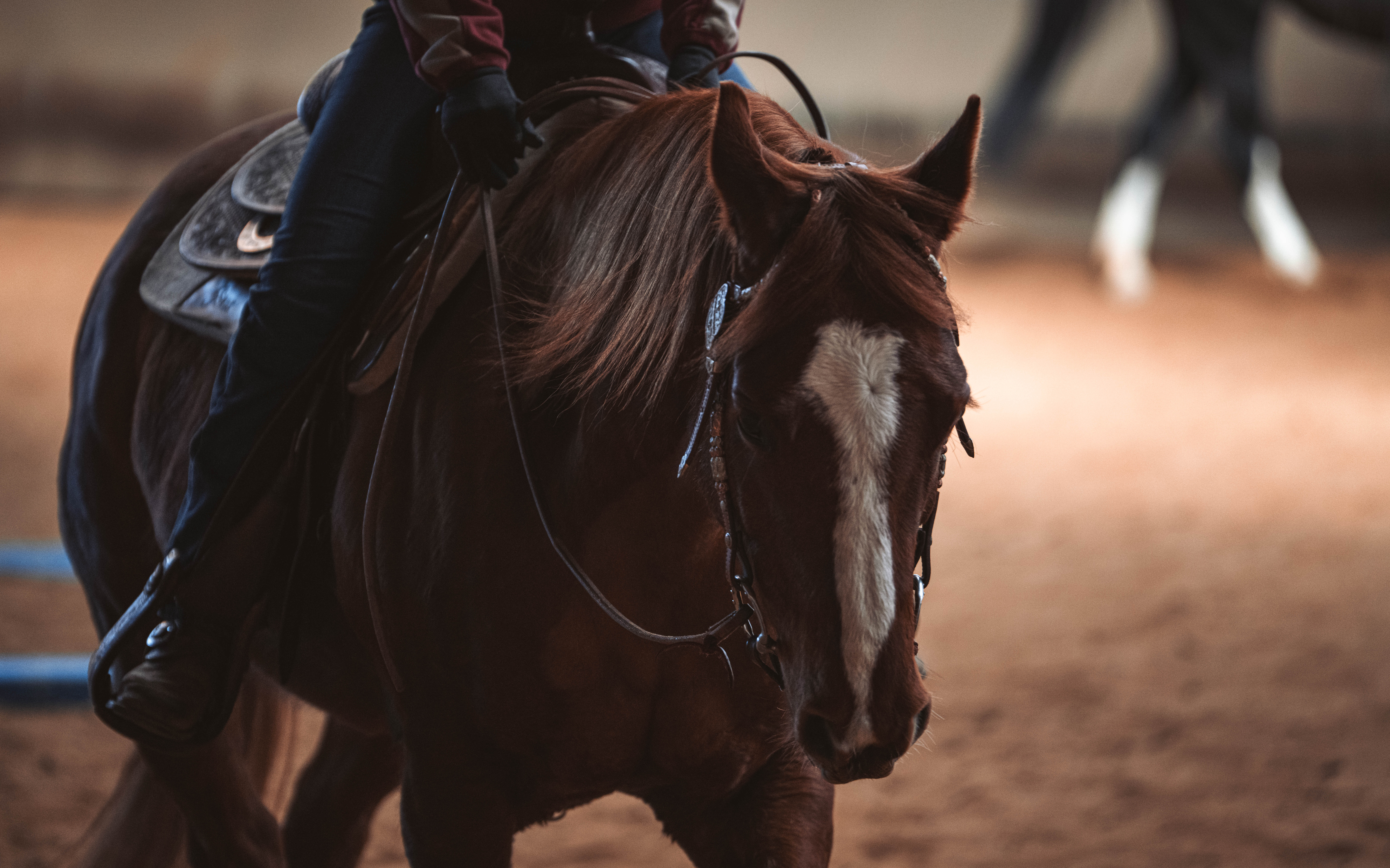 20260322_Silver_Rock_Ranch_Kurs_Tom_Christ_208