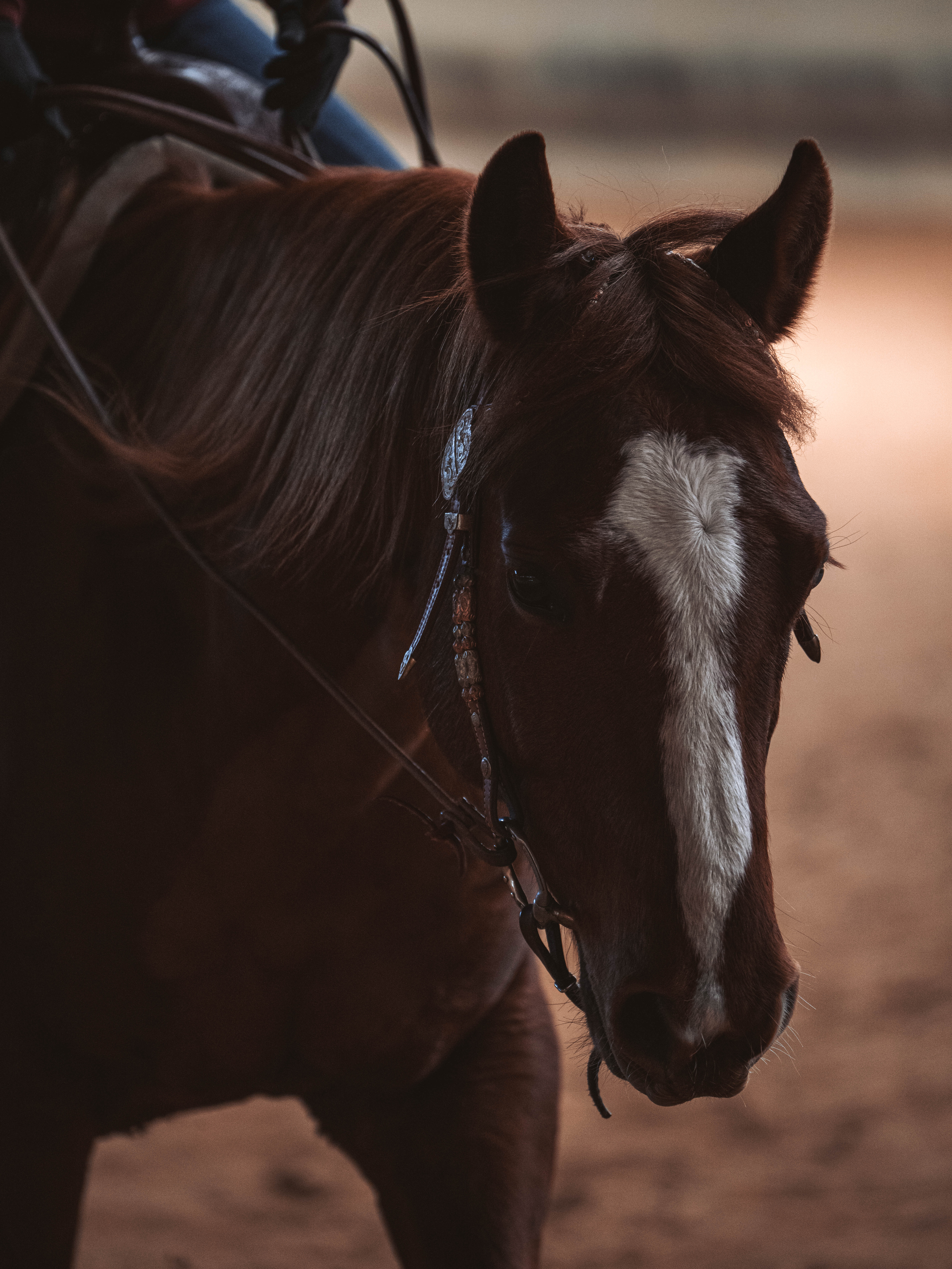 20260322_Silver_Rock_Ranch_Kurs_Tom_Christ_212