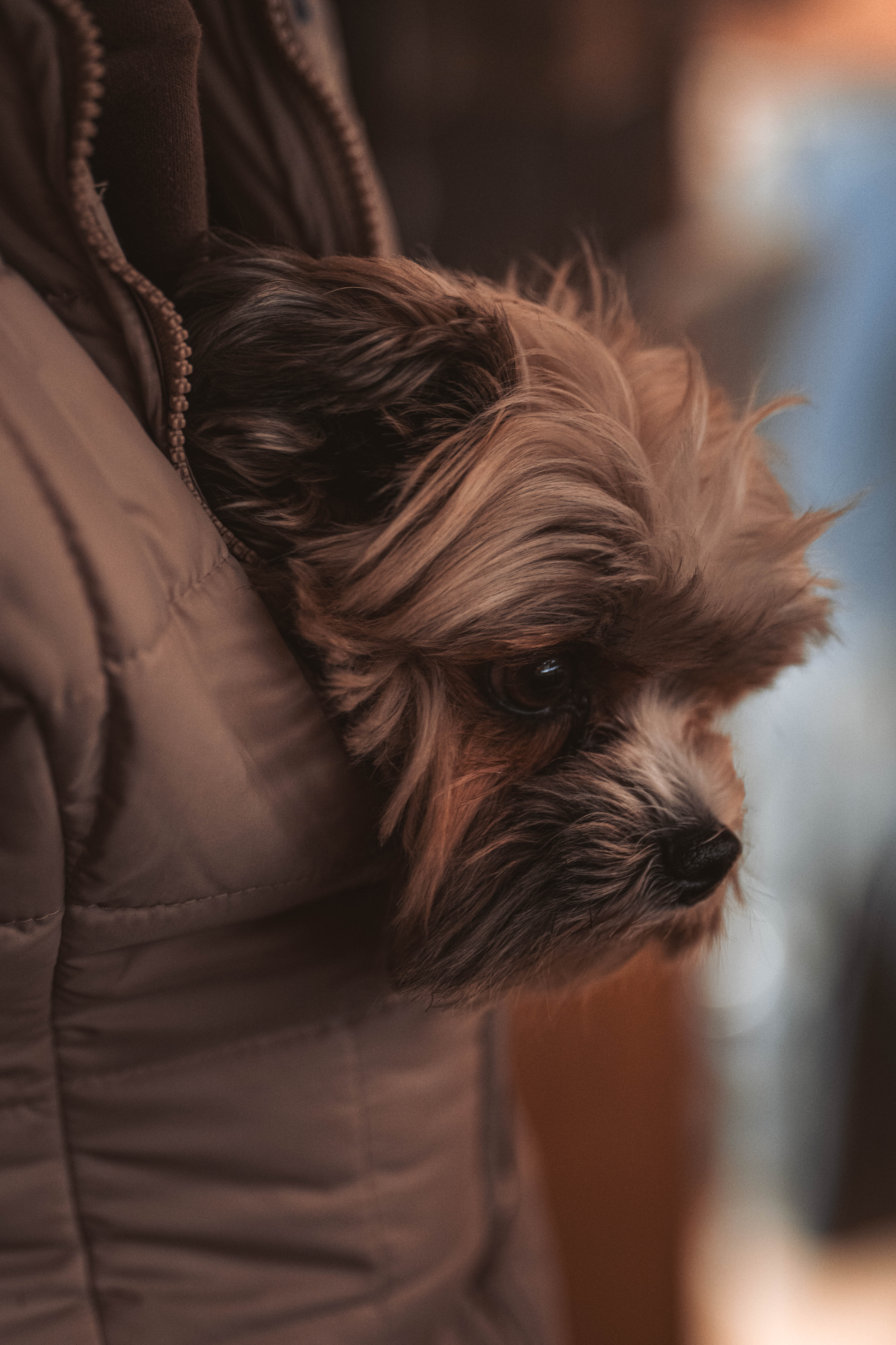 20260322_Silver_Rock_Ranch_Kurs_Tom_Christ_220