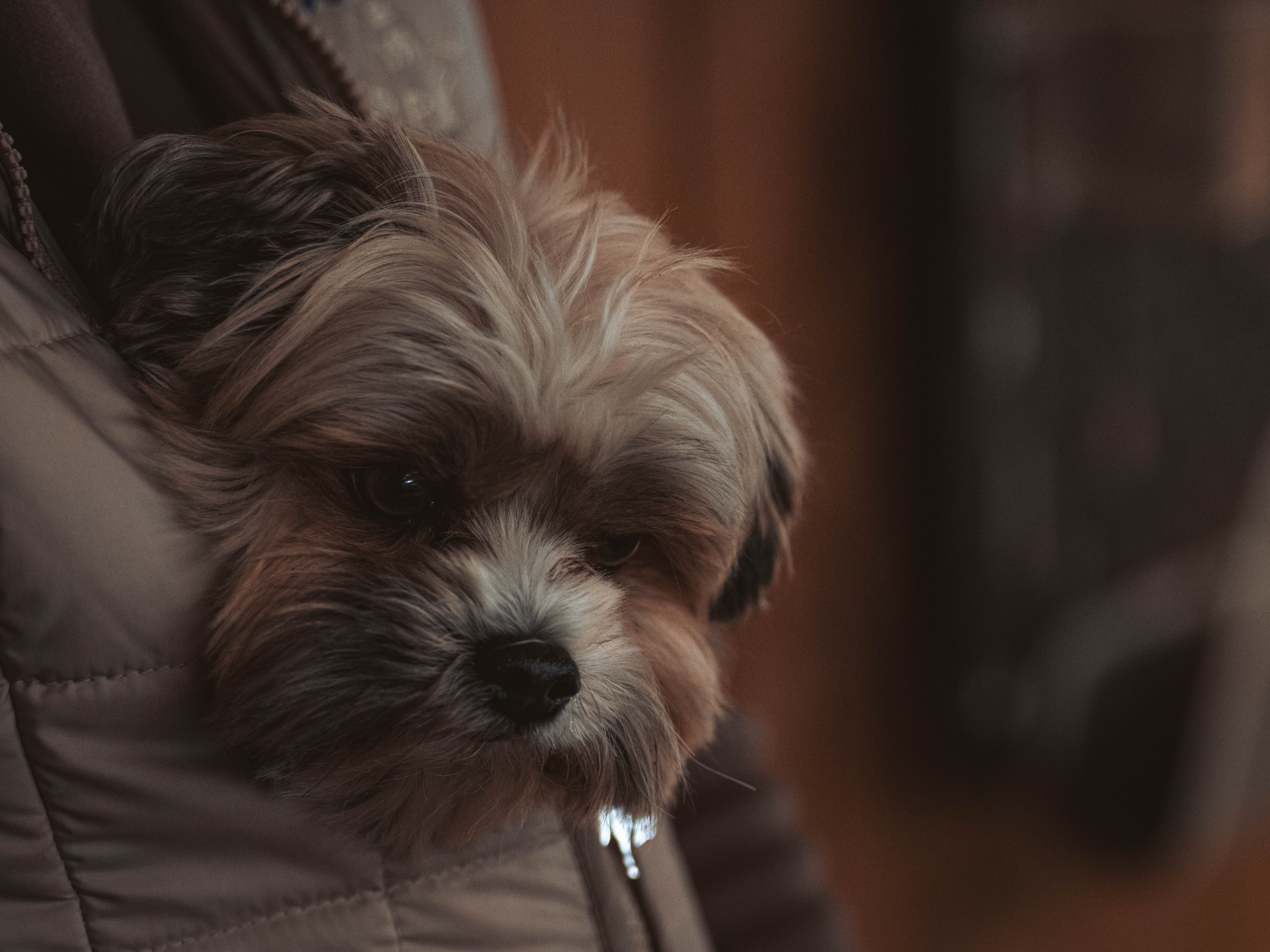 20260322_Silver_Rock_Ranch_Kurs_Tom_Christ_221