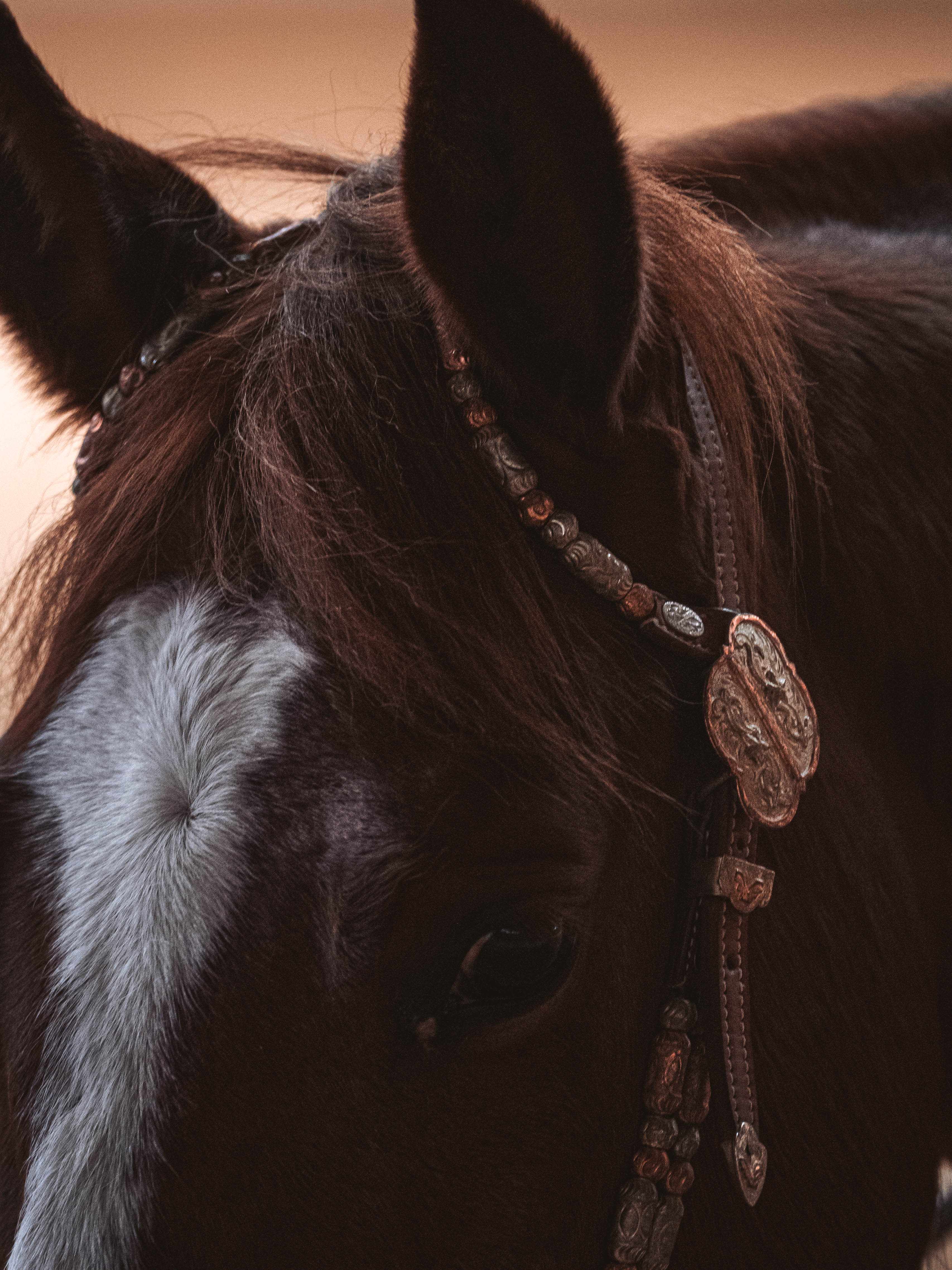 20260322_Silver_Rock_Ranch_Kurs_Tom_Christ_225