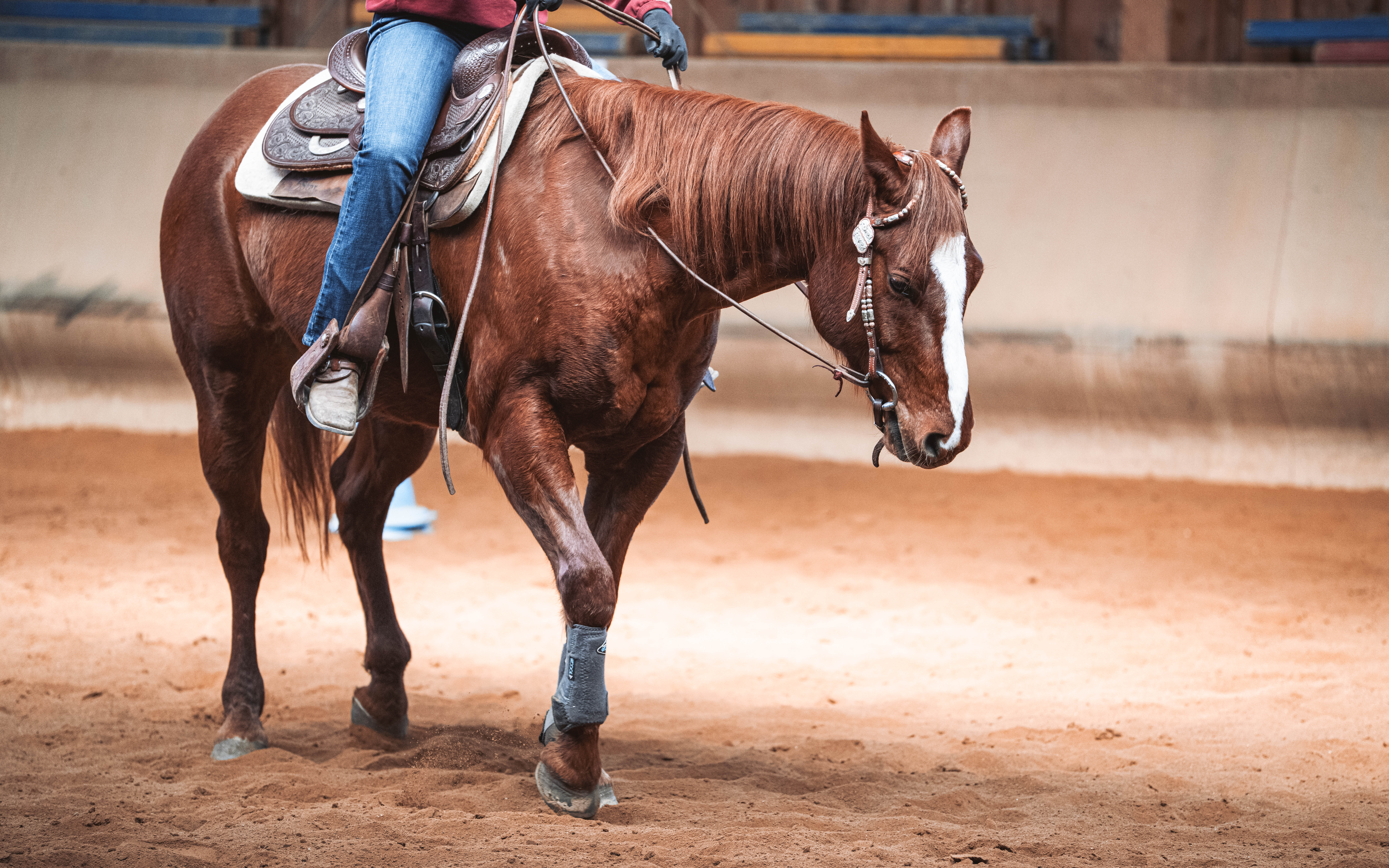 20260322_Silver_Rock_Ranch_Kurs_Tom_Christ_228