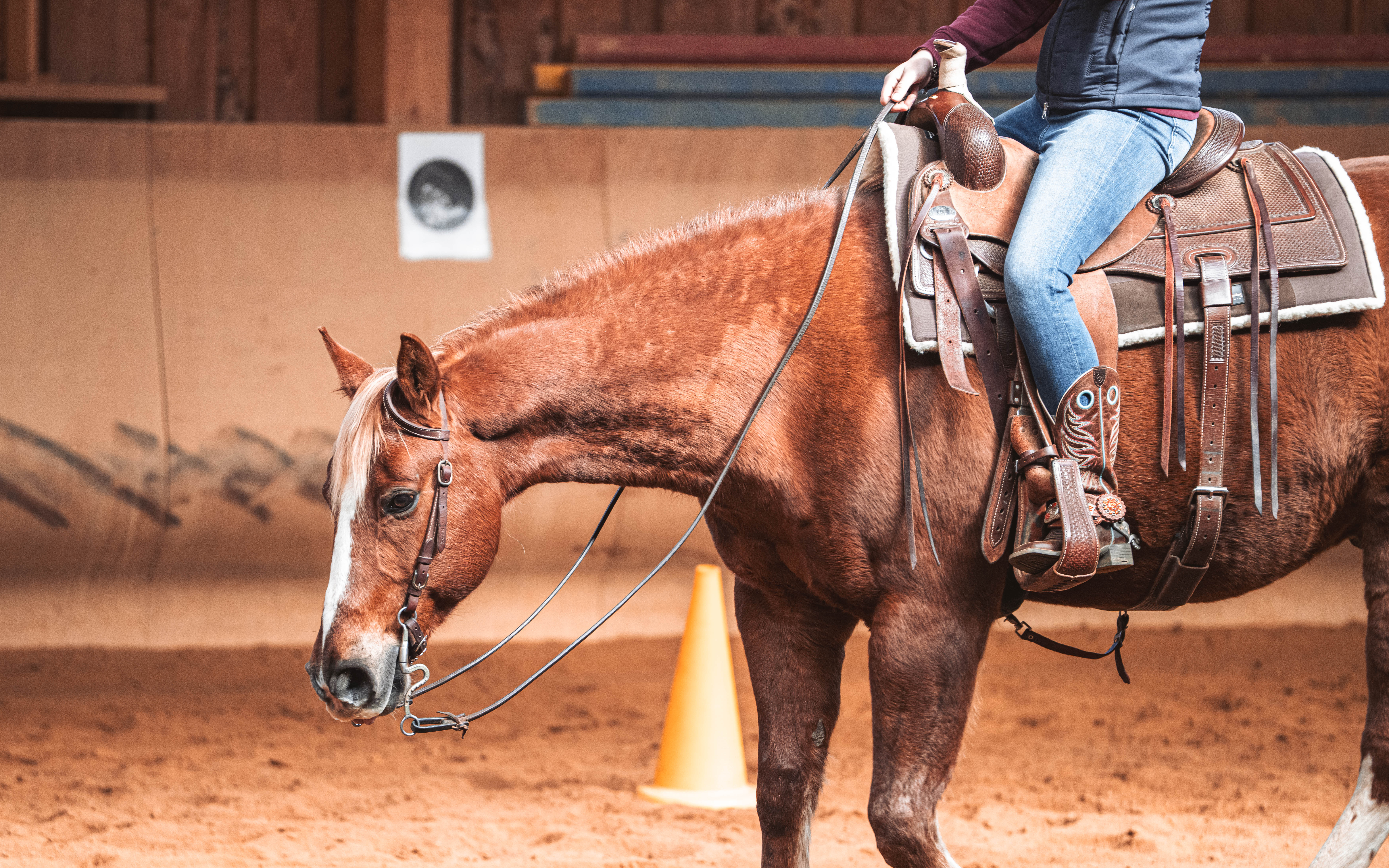 20260322_Silver_Rock_Ranch_Kurs_Tom_Christ_249