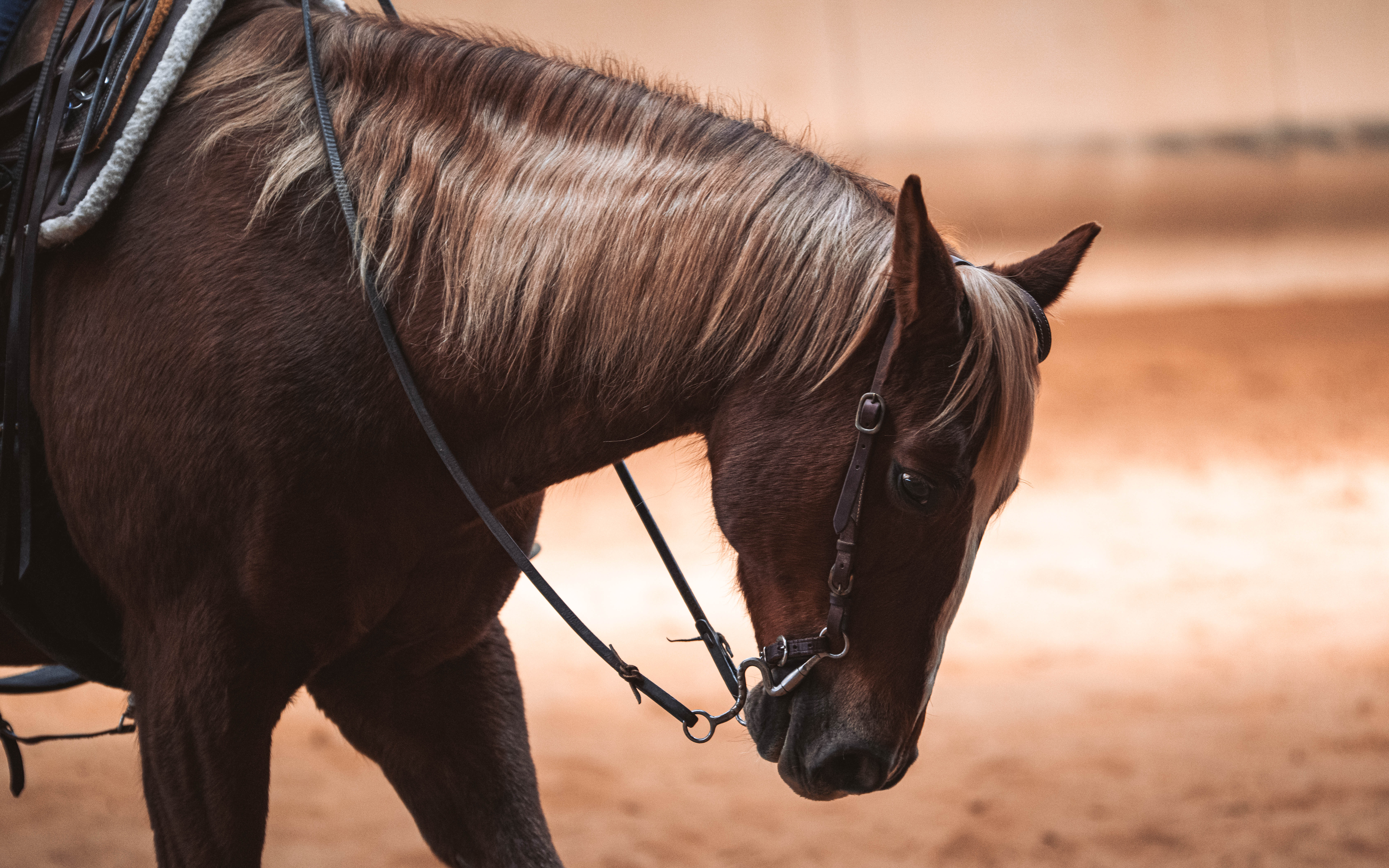 20260322_Silver_Rock_Ranch_Kurs_Tom_Christ_252