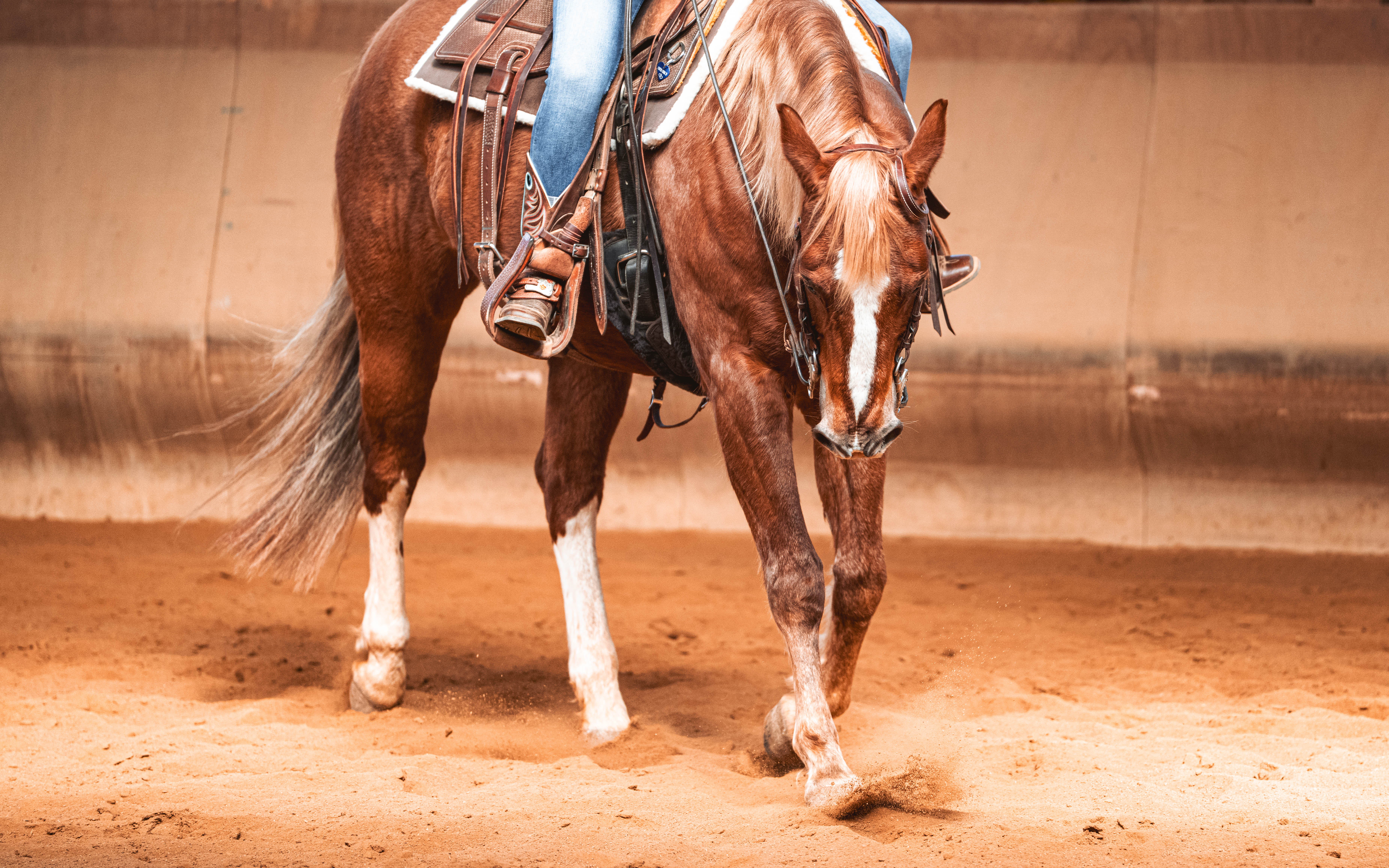 20260322_Silver_Rock_Ranch_Kurs_Tom_Christ_255