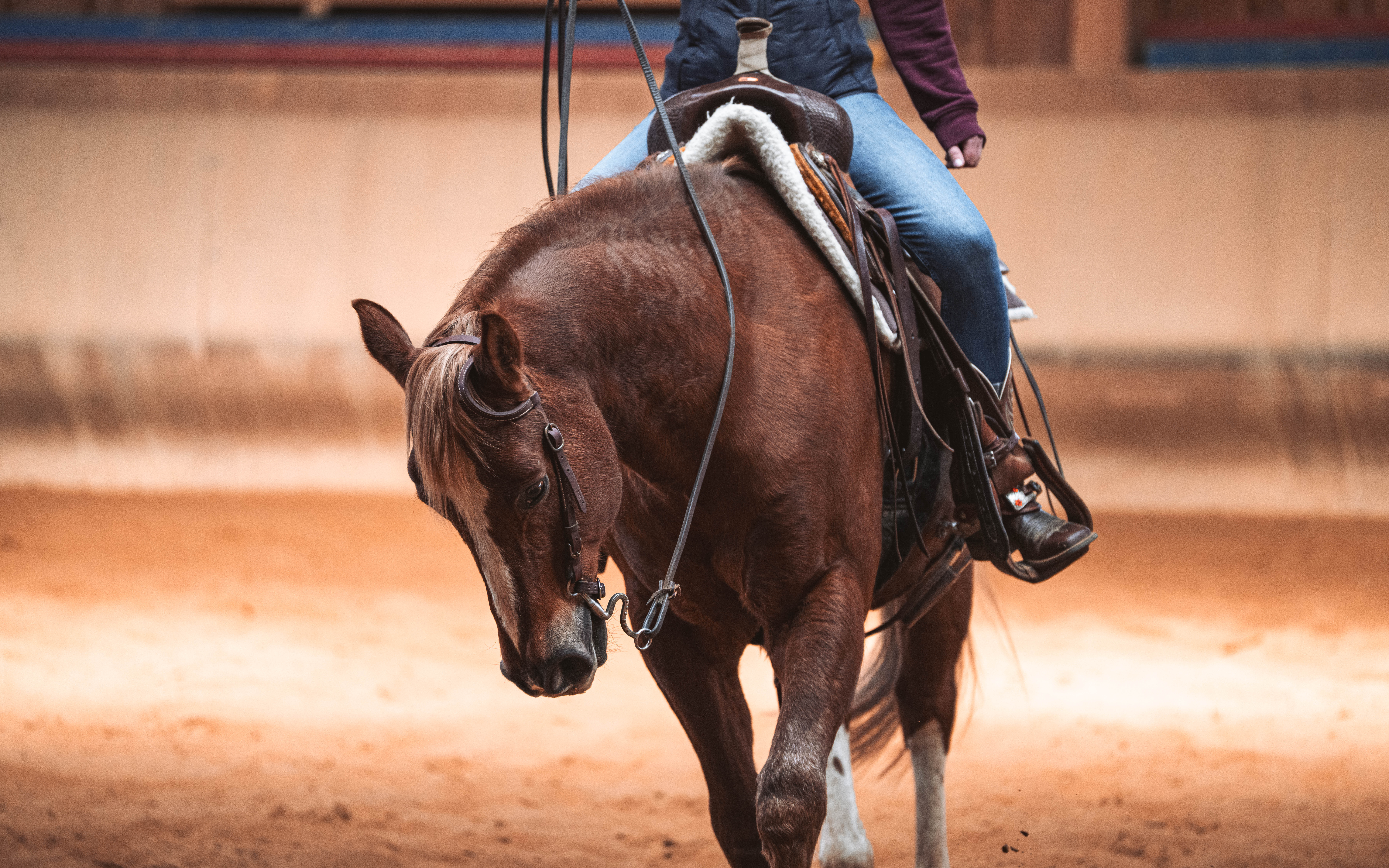 20260322_Silver_Rock_Ranch_Kurs_Tom_Christ_257