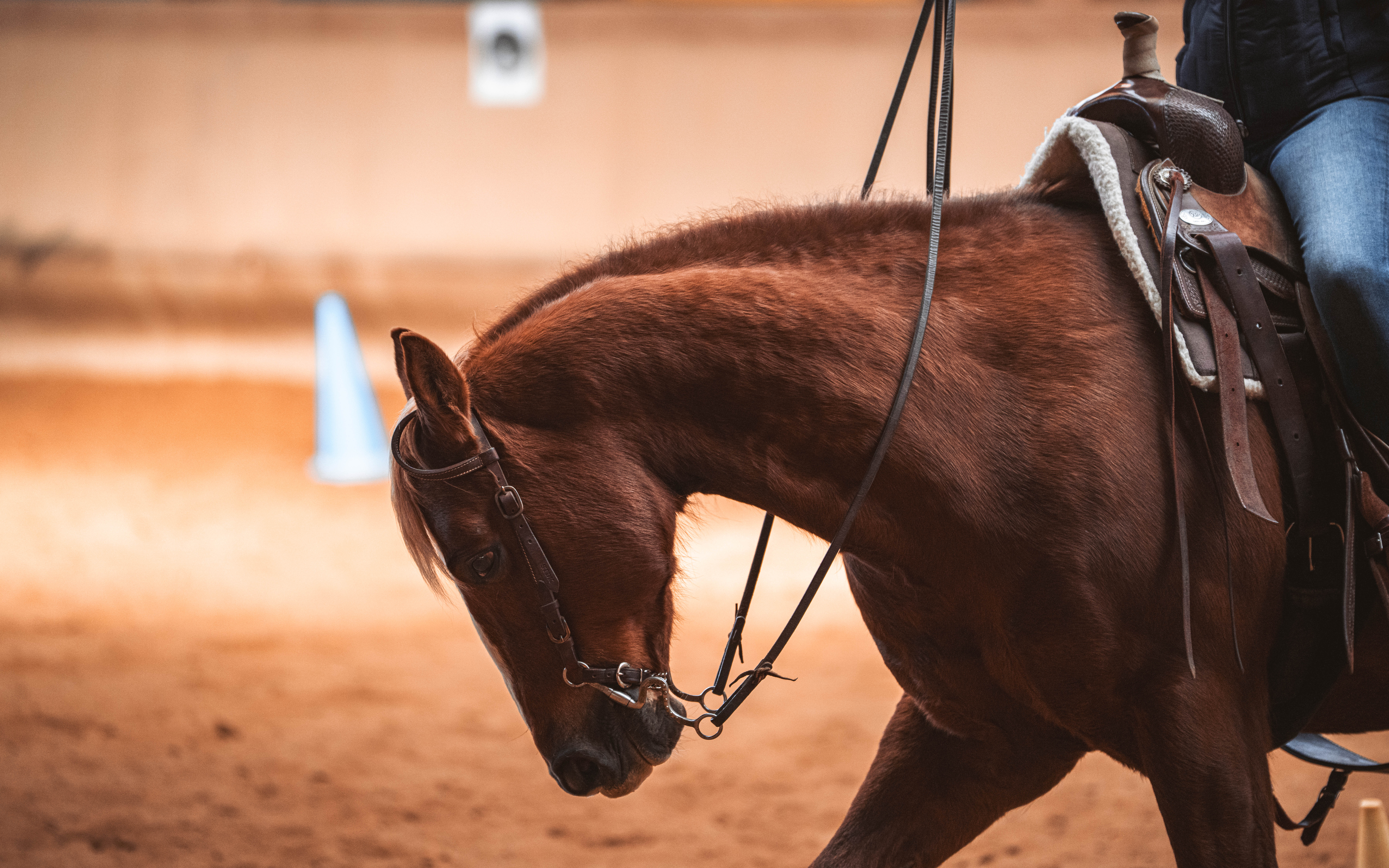 20260322_Silver_Rock_Ranch_Kurs_Tom_Christ_258