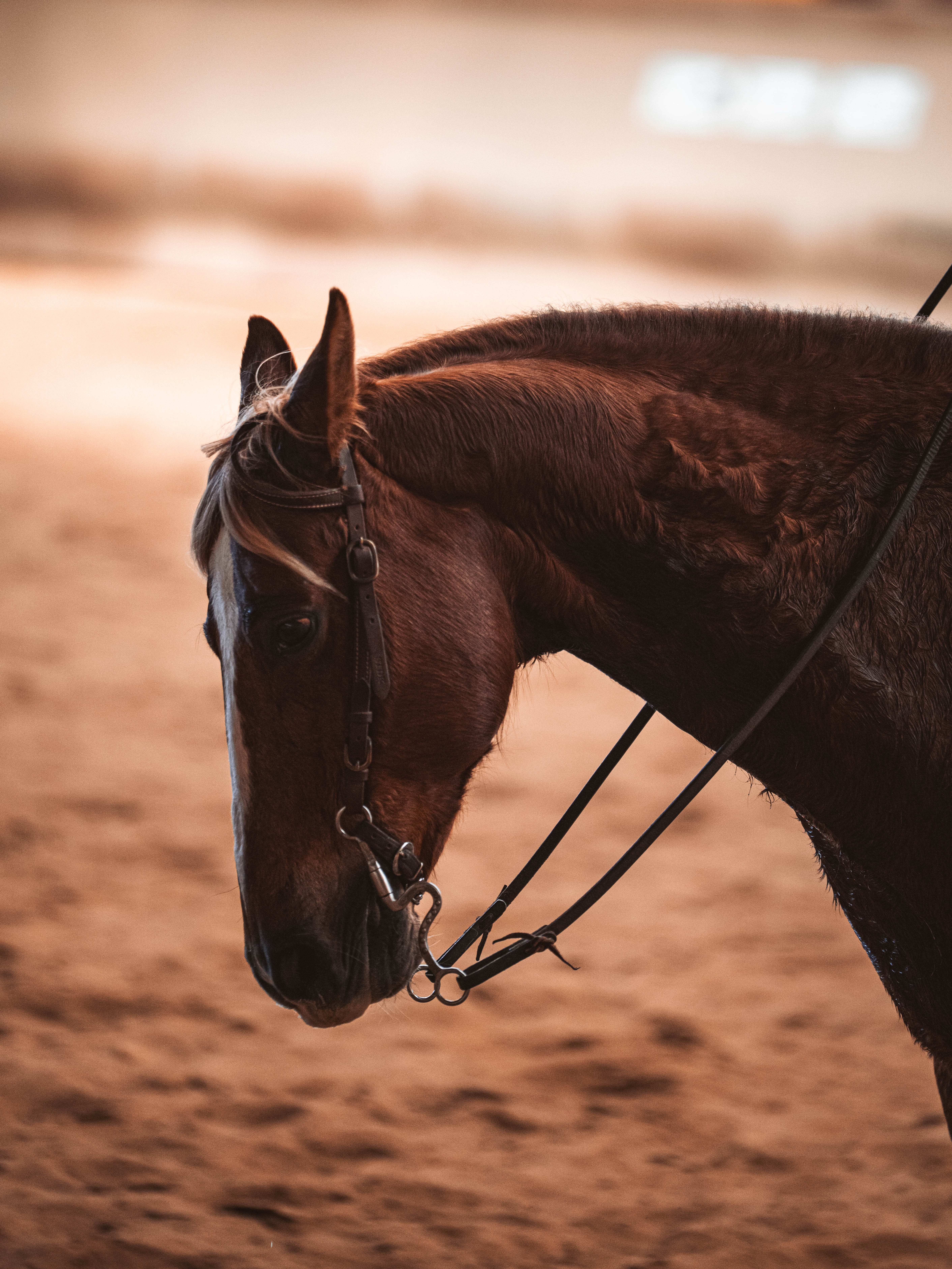 20260322_Silver_Rock_Ranch_Kurs_Tom_Christ_268