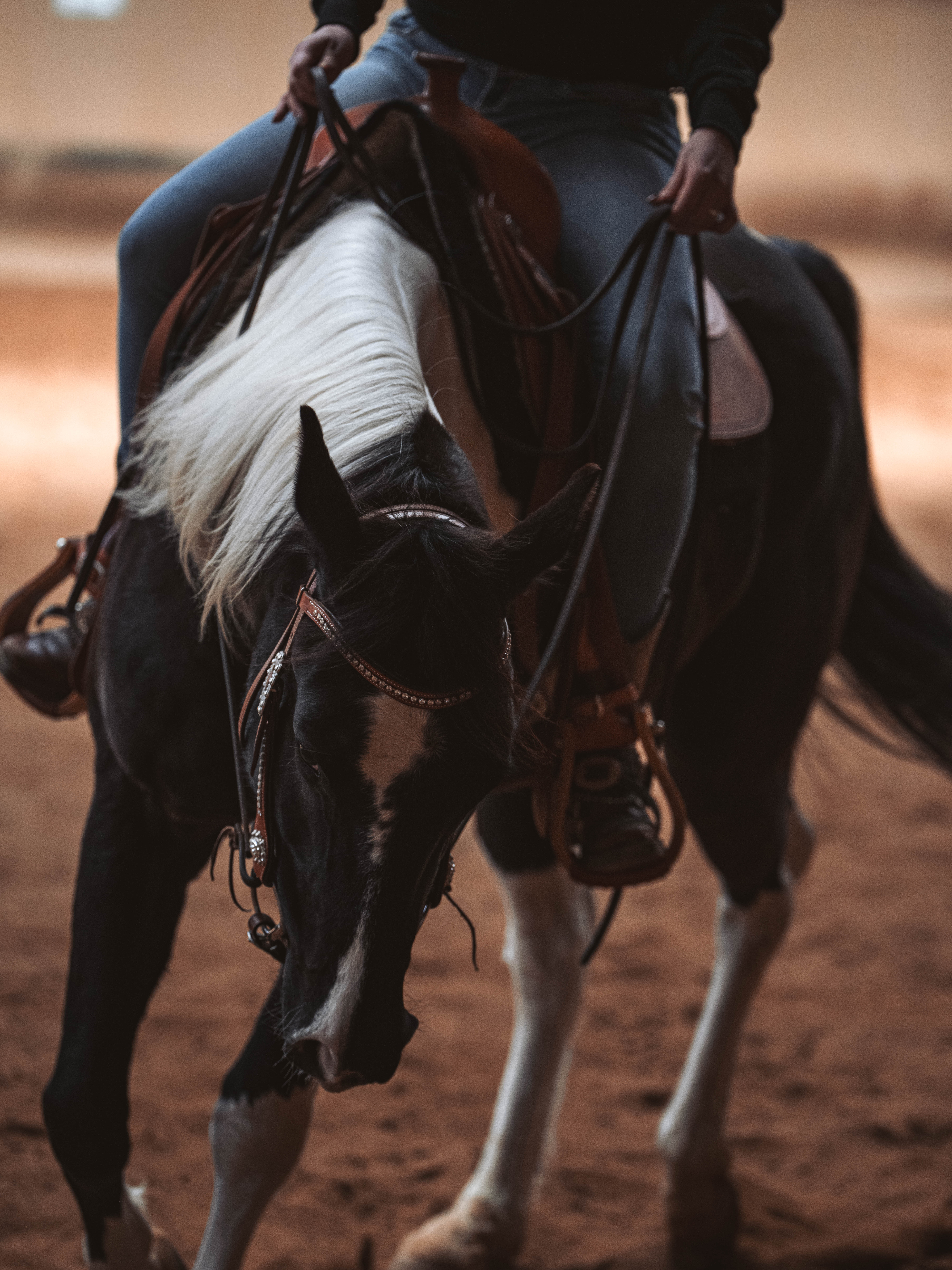 20260322_Silver_Rock_Ranch_Kurs_Tom_Christ_303