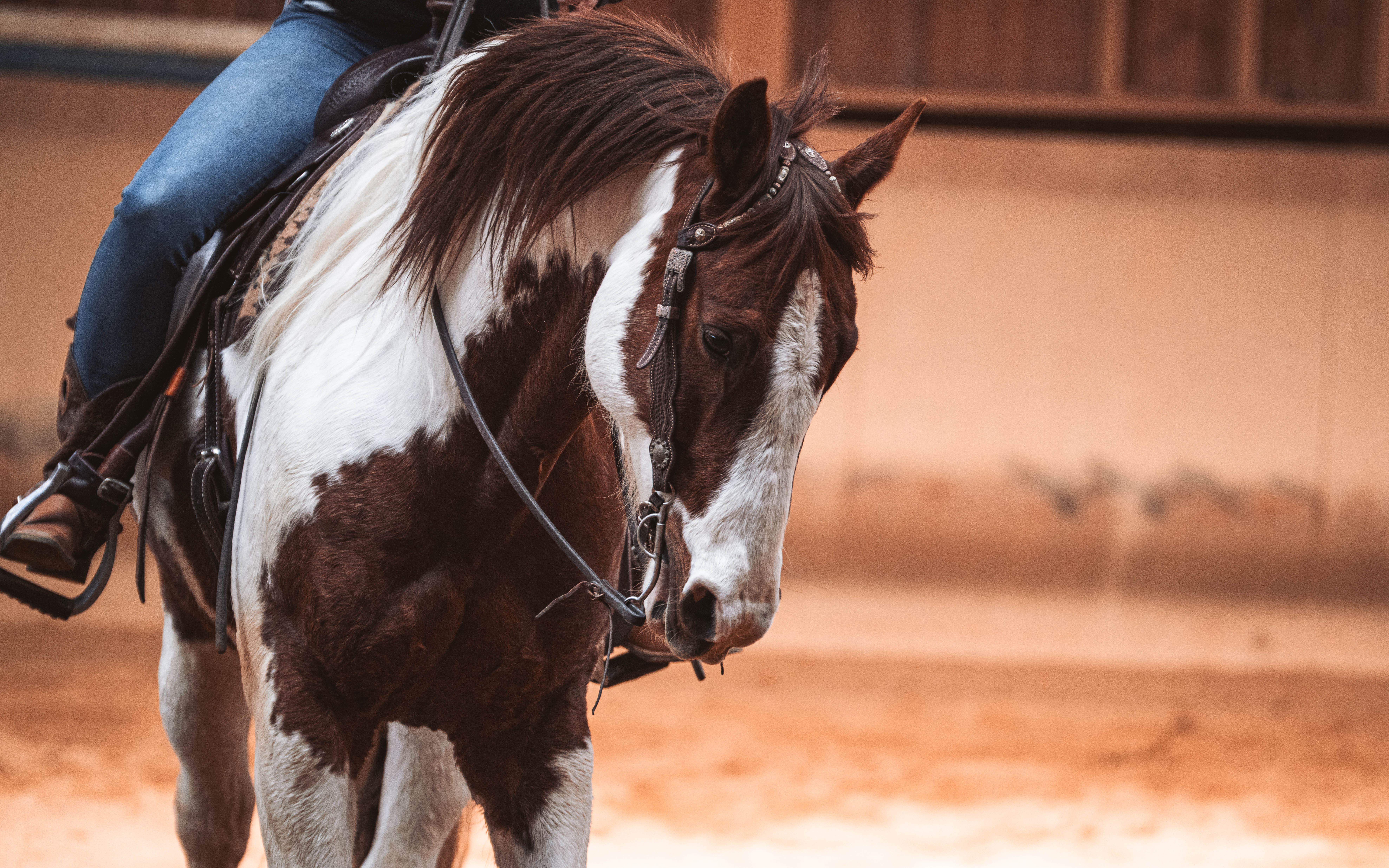 20260322_Silver_Rock_Ranch_Kurs_Tom_Christ_320