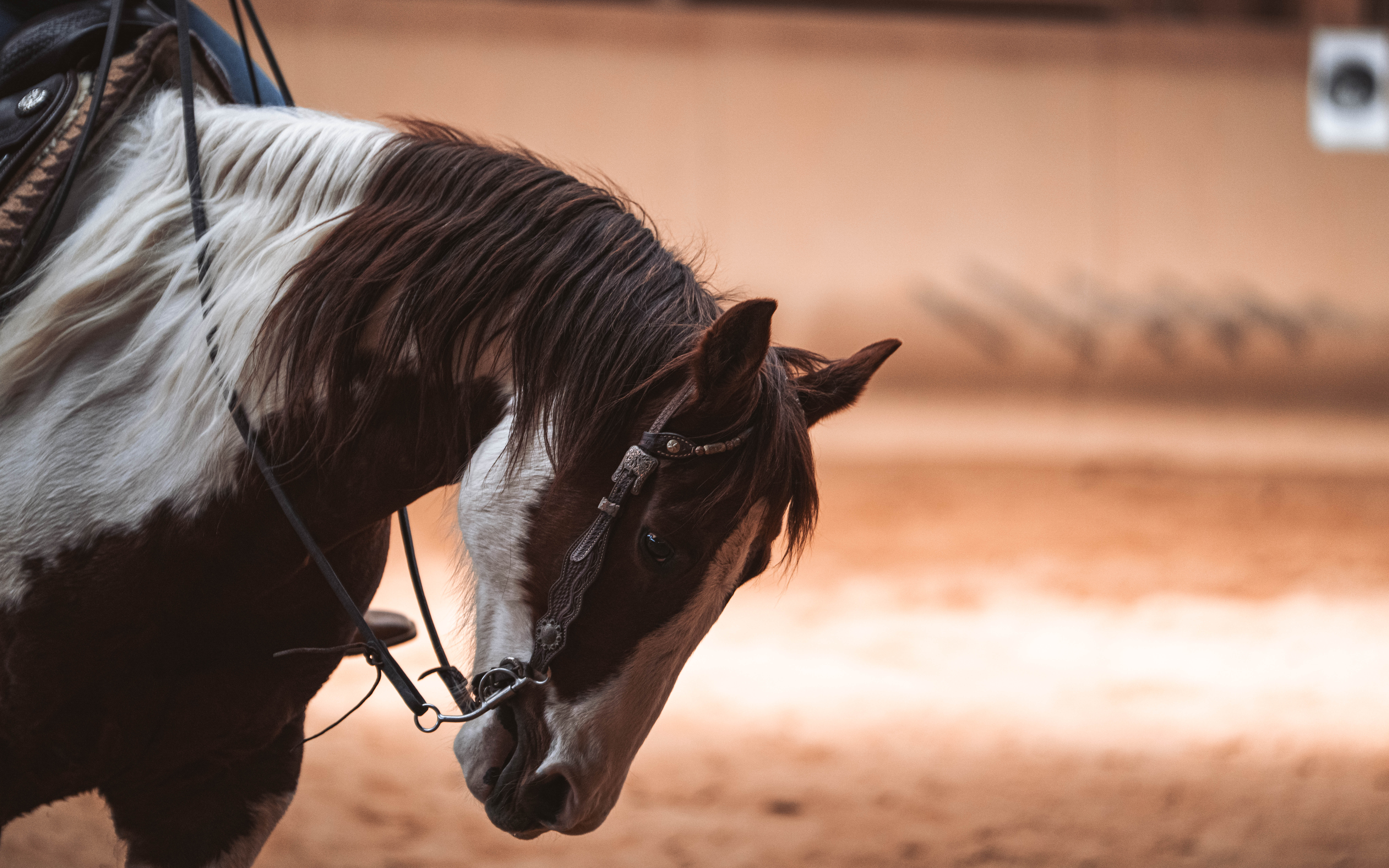 20260322_Silver_Rock_Ranch_Kurs_Tom_Christ_321