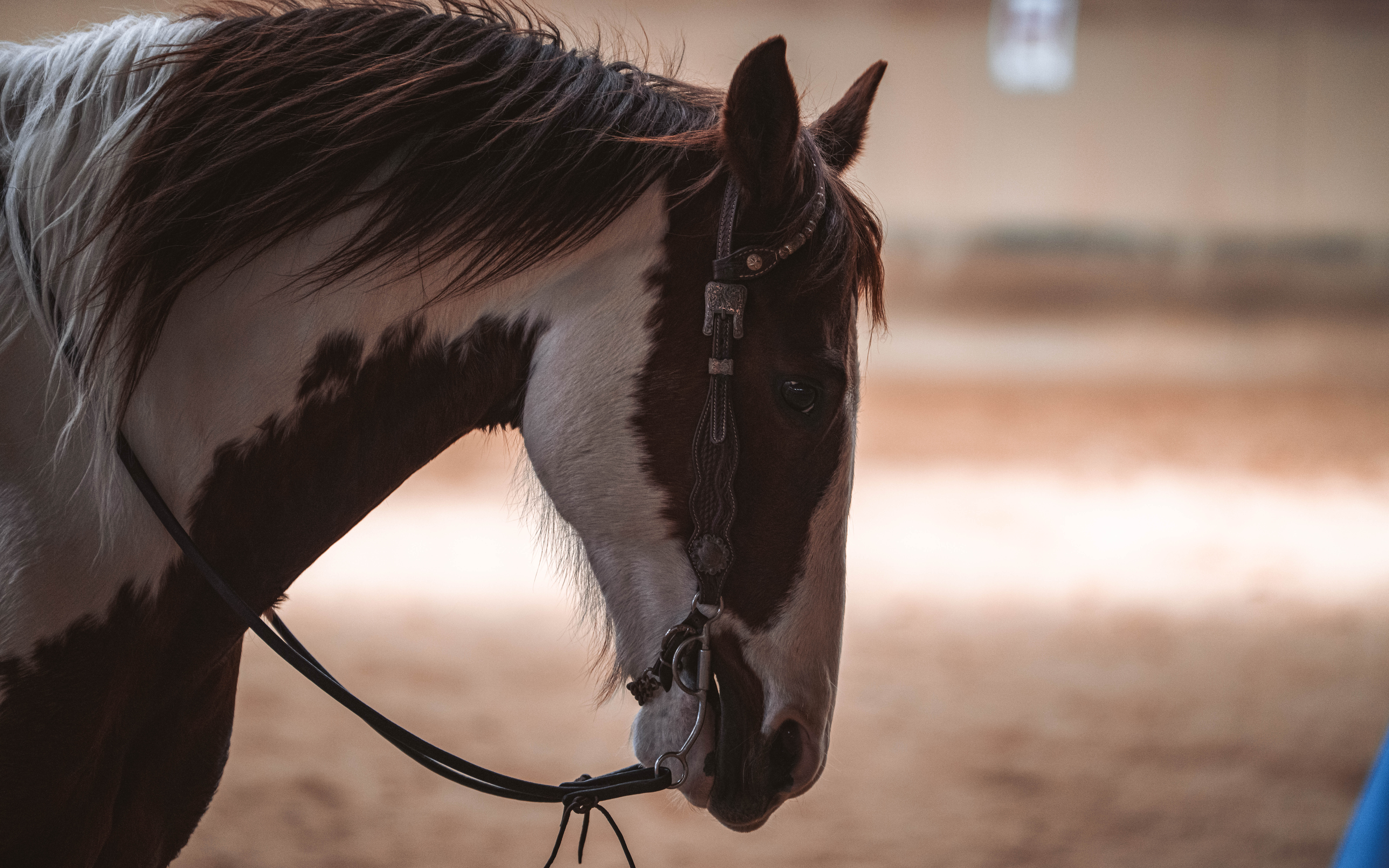 20260322_Silver_Rock_Ranch_Kurs_Tom_Christ_322