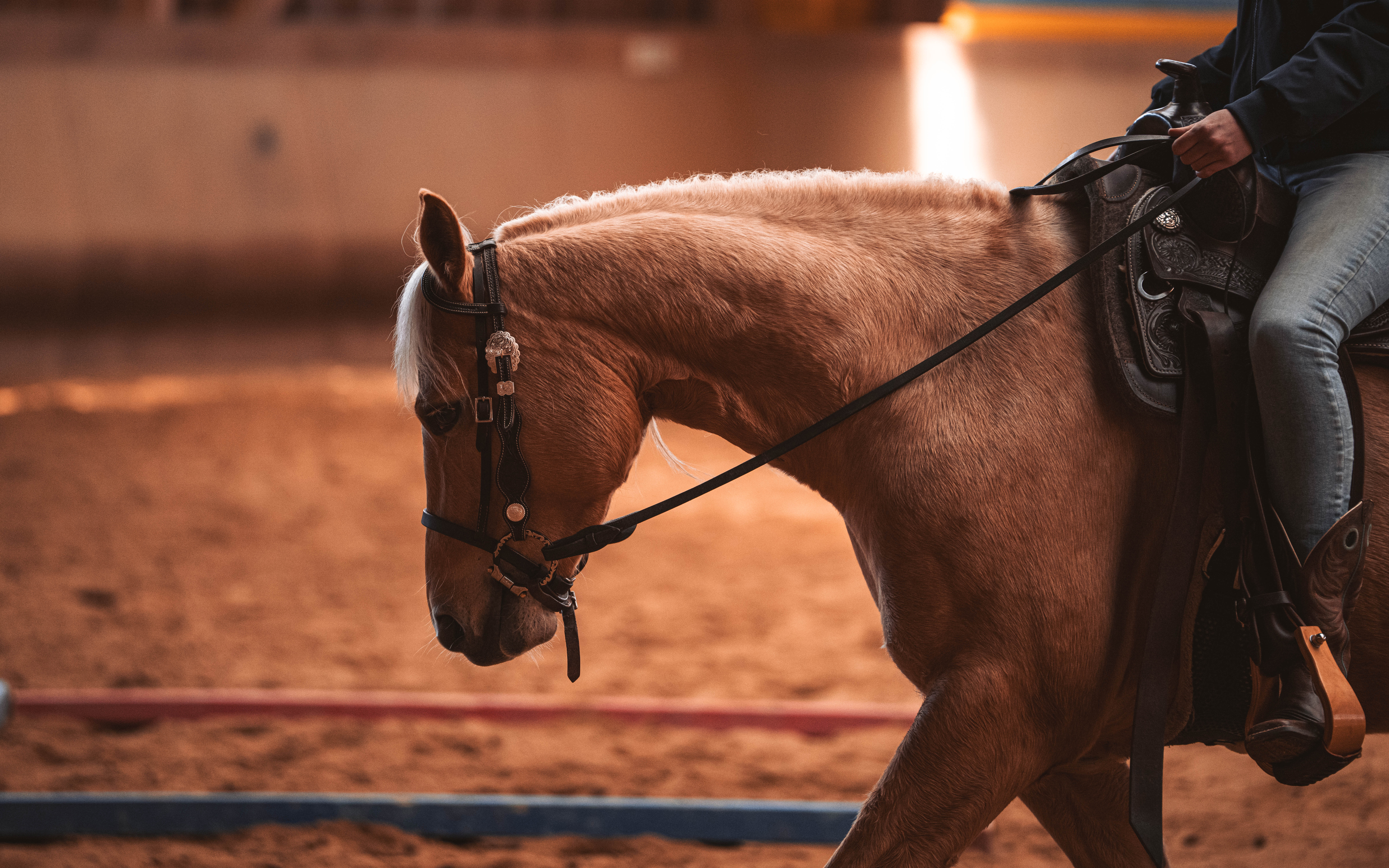 20260322_Silver_Rock_Ranch_Kurs_Tom_Christ_327