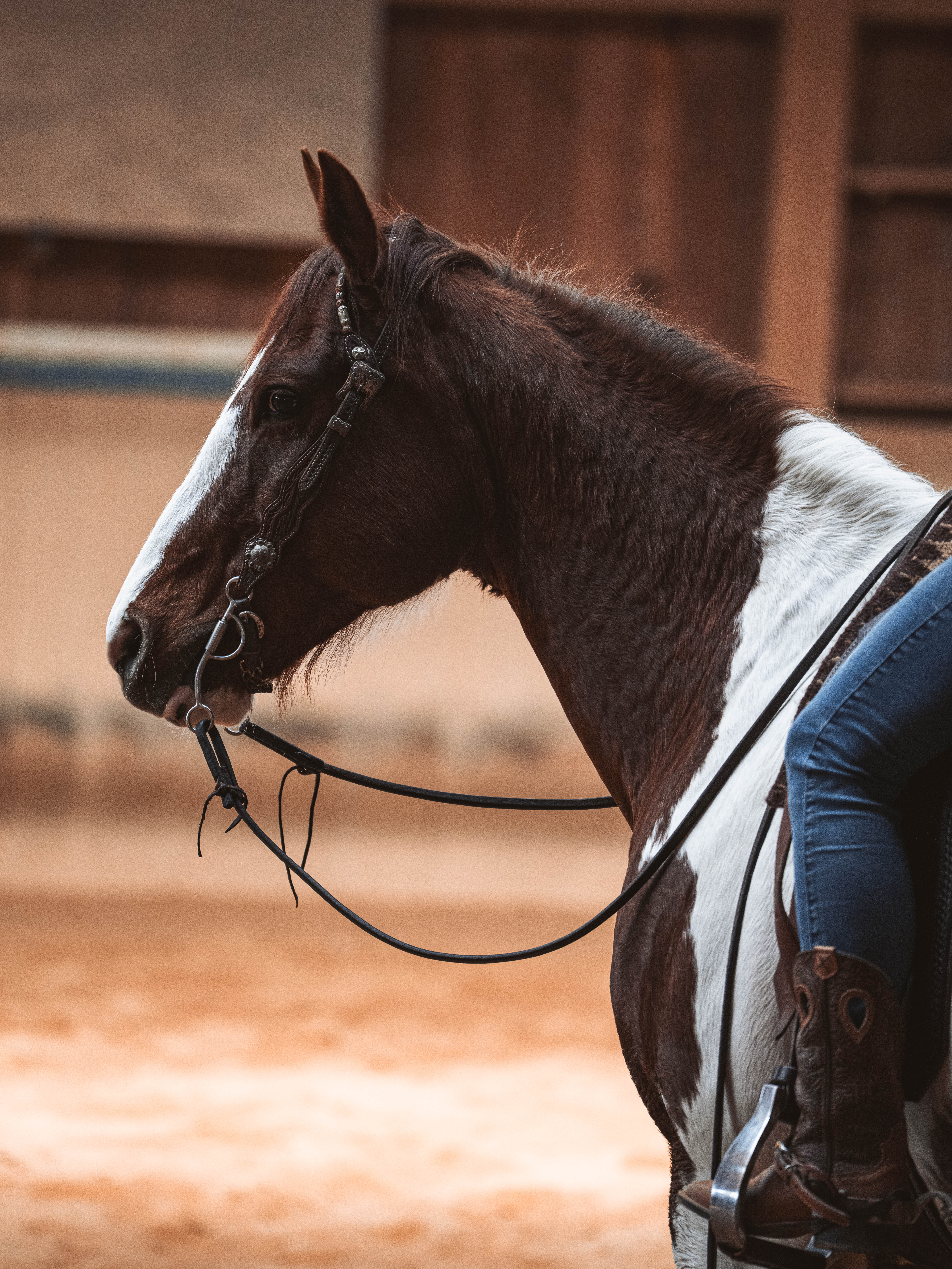 20260322_Silver_Rock_Ranch_Kurs_Tom_Christ_328