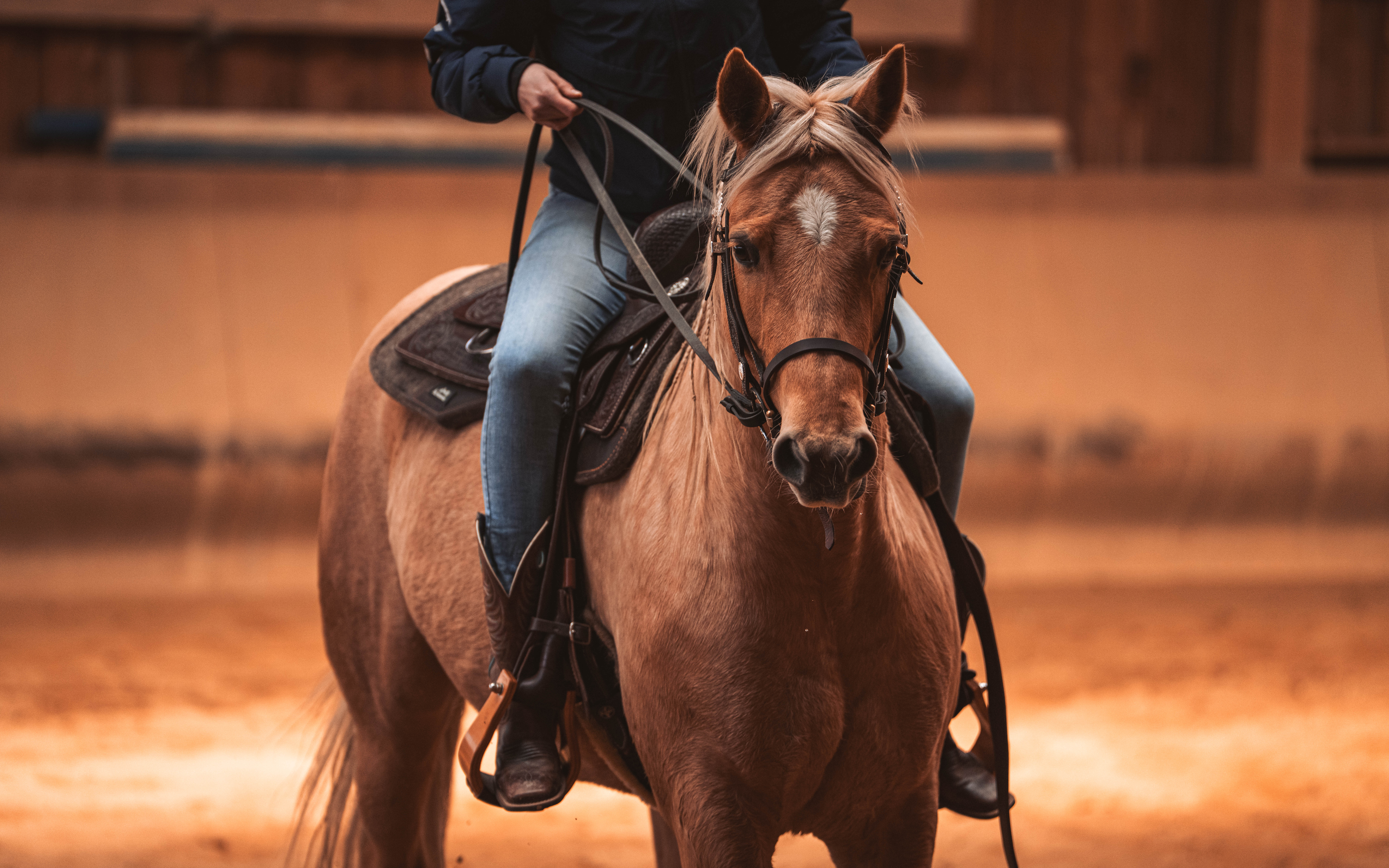 20260322_Silver_Rock_Ranch_Kurs_Tom_Christ_338