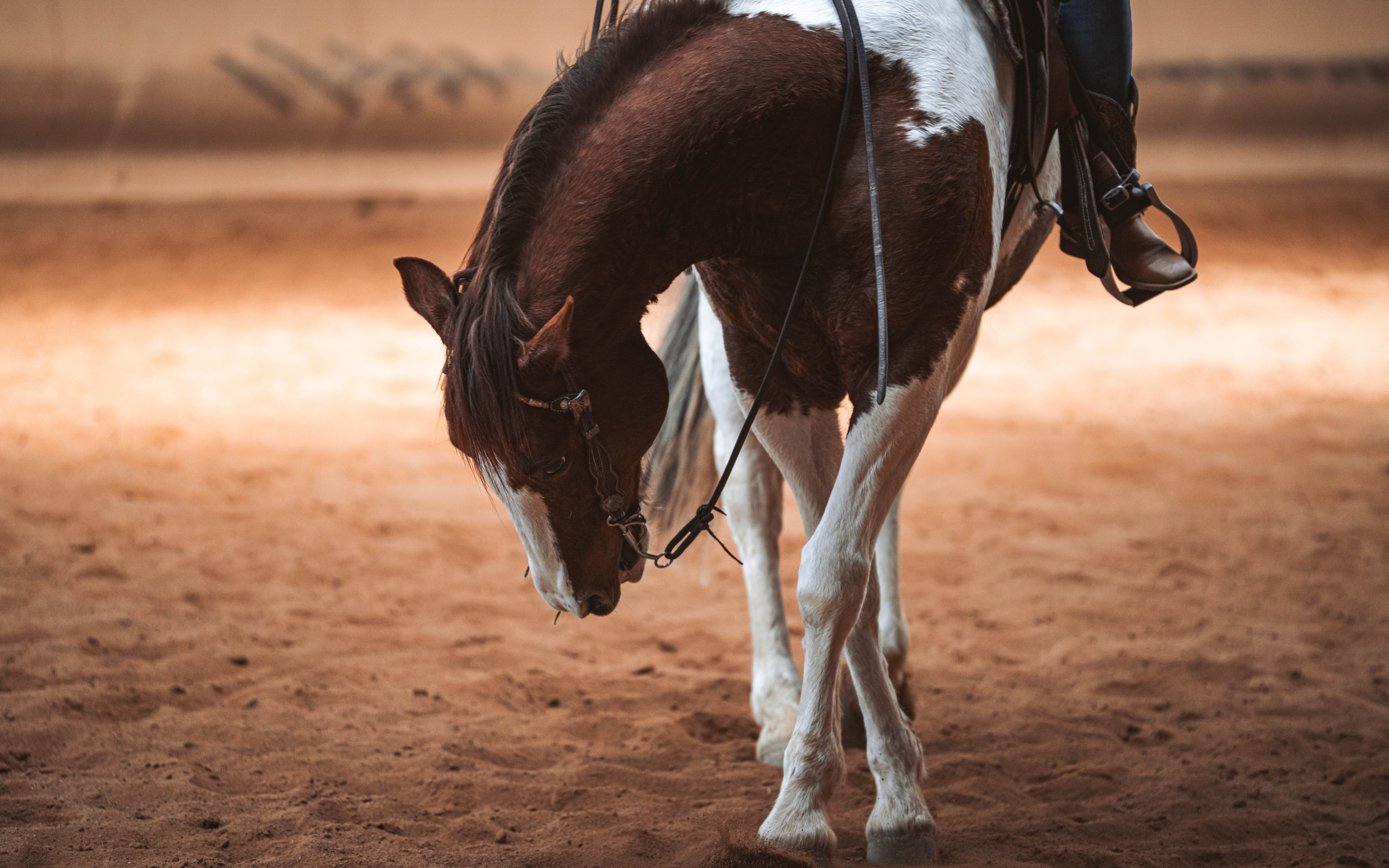 20260322_Silver_Rock_Ranch_Kurs_Tom_Christ_352